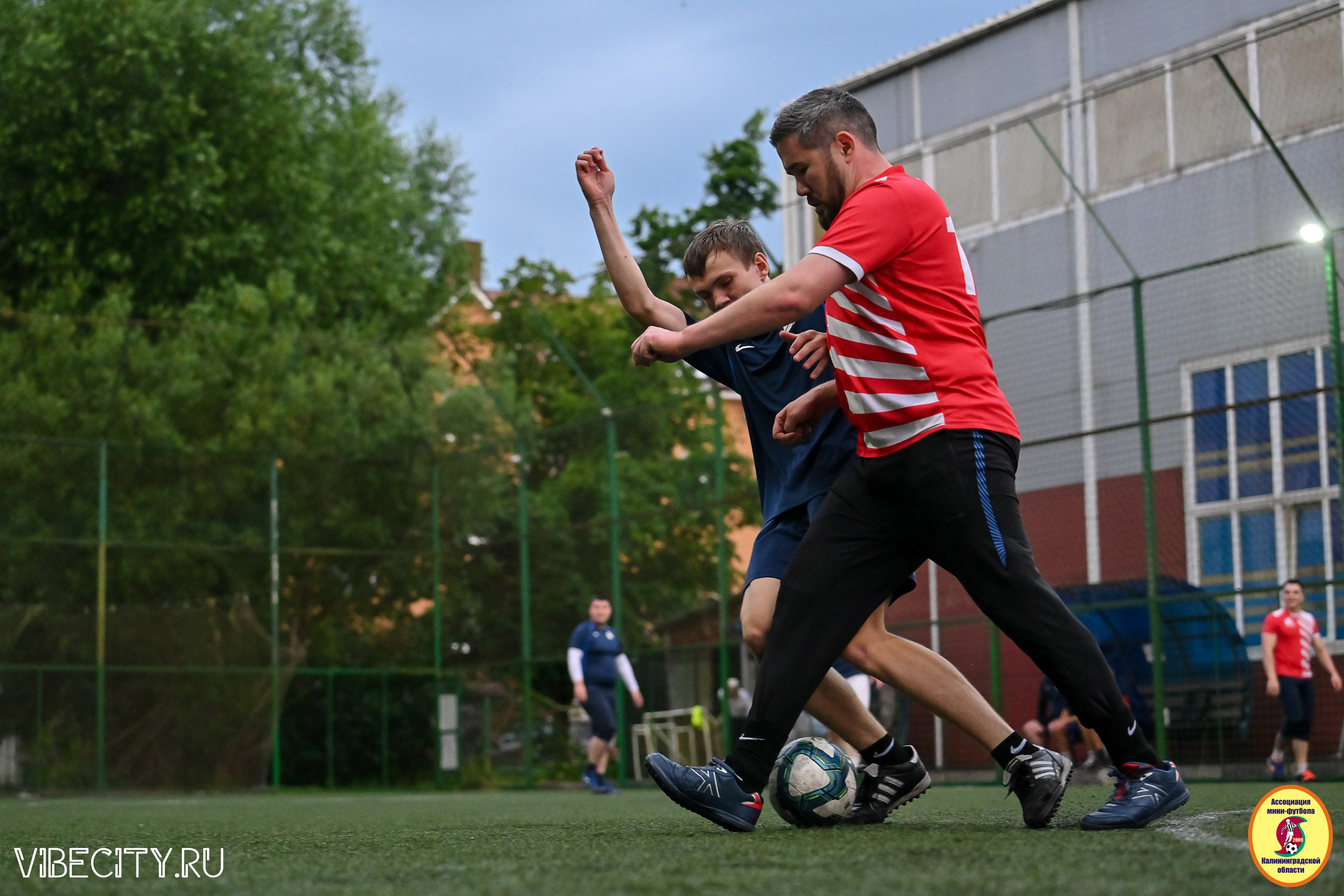 ИГРЫ МИНИ-ФУТБОЛЬНОЙ И КОРПОРАТИВНОЙ ЛИГИ. VIBECITY.RU Вайб Сити Ру Фоторепортажи Фотоотчеты Калининград