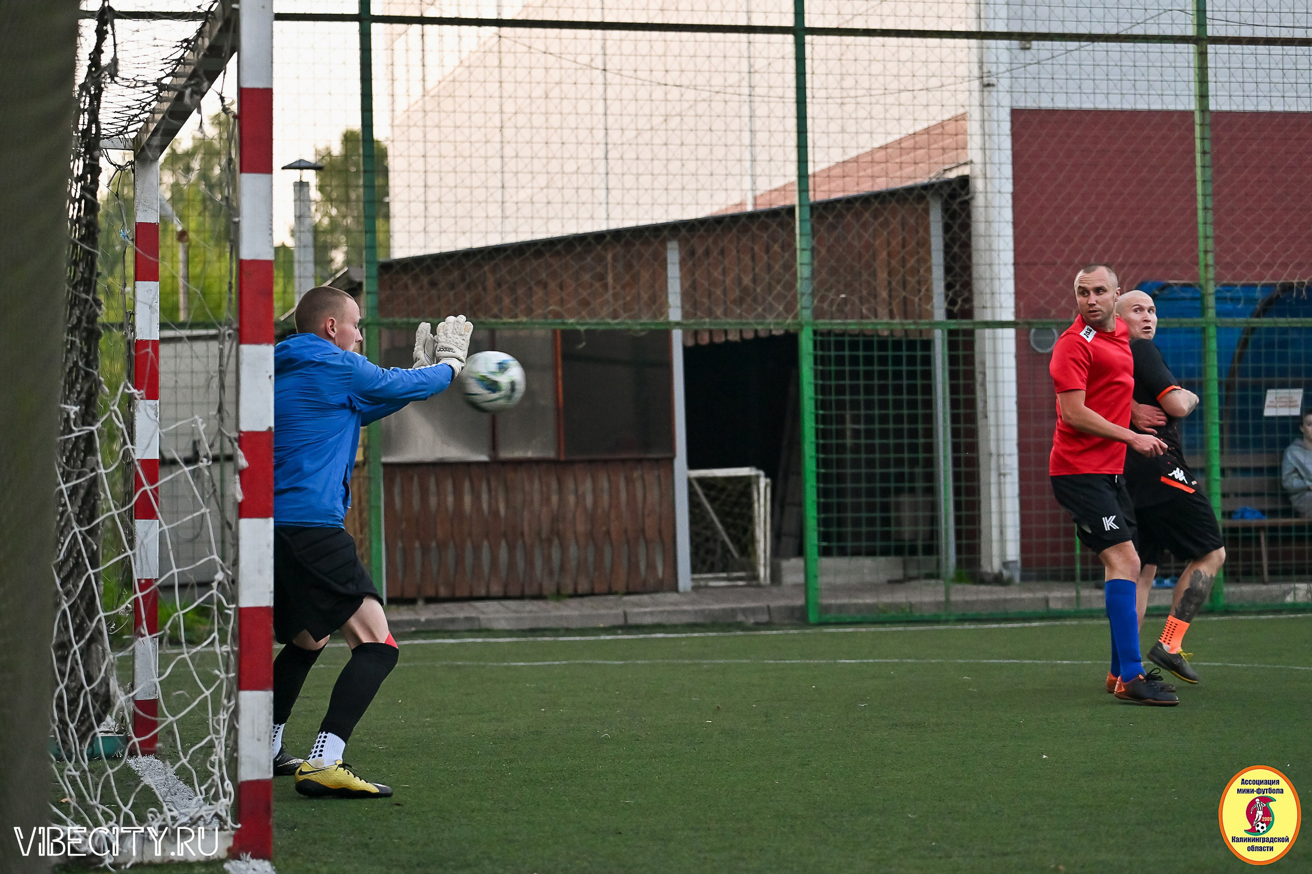 ИГРЫ ПЛЕЙ-ОФФ ПЕРВОГО ДИВИЗИОНА МИНИ-ФУТБОЛЬНОЙ ЛИГИ. VIBECITY.RU Вайб Сити Ру Фоторепортажи Фотоотчеты Калининград