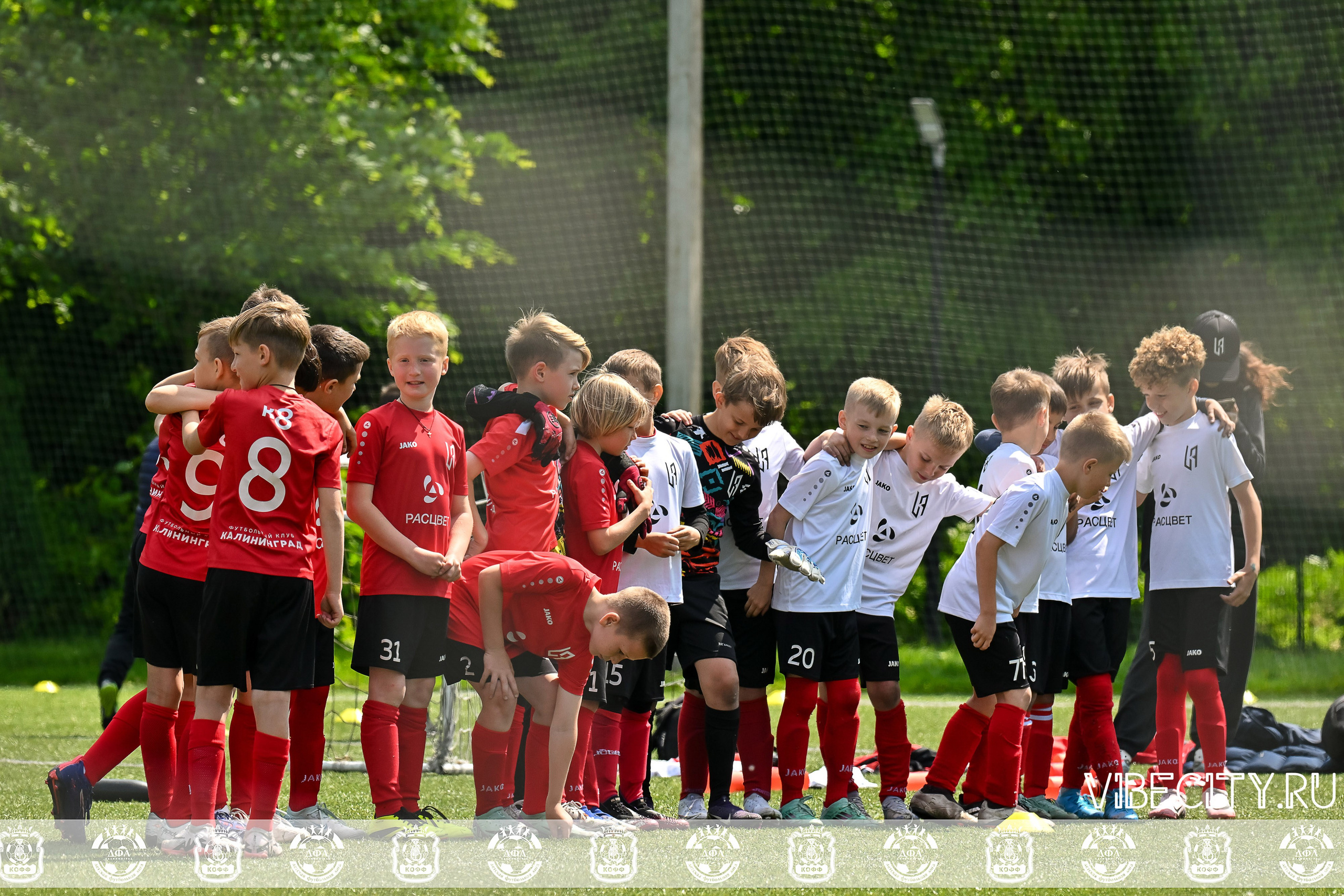 Большие Звезды светят Малым. VIBECITY.RU Вайб Сити Ру Фоторепортажи Фотоотчеты Калининград