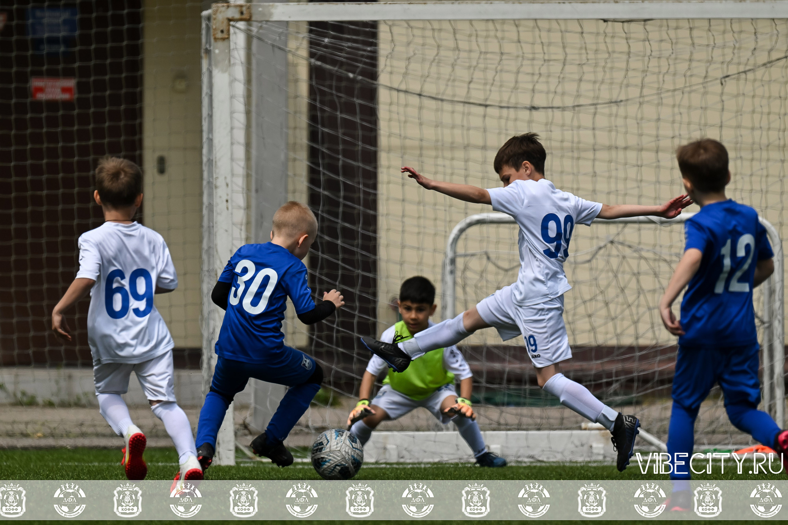 Большие Звезды светят Малым. VIBECITY.RU Вайб Сити Ру Фоторепортажи Фотоотчеты Калининград