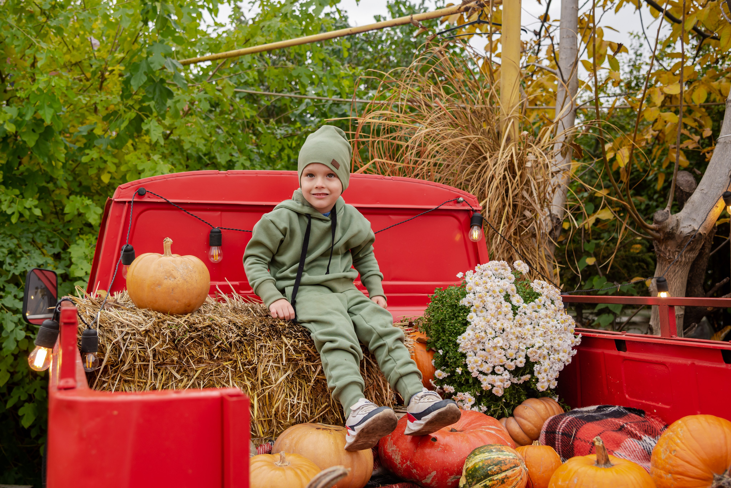 Авакадо. Фотограф Галина Нестерова