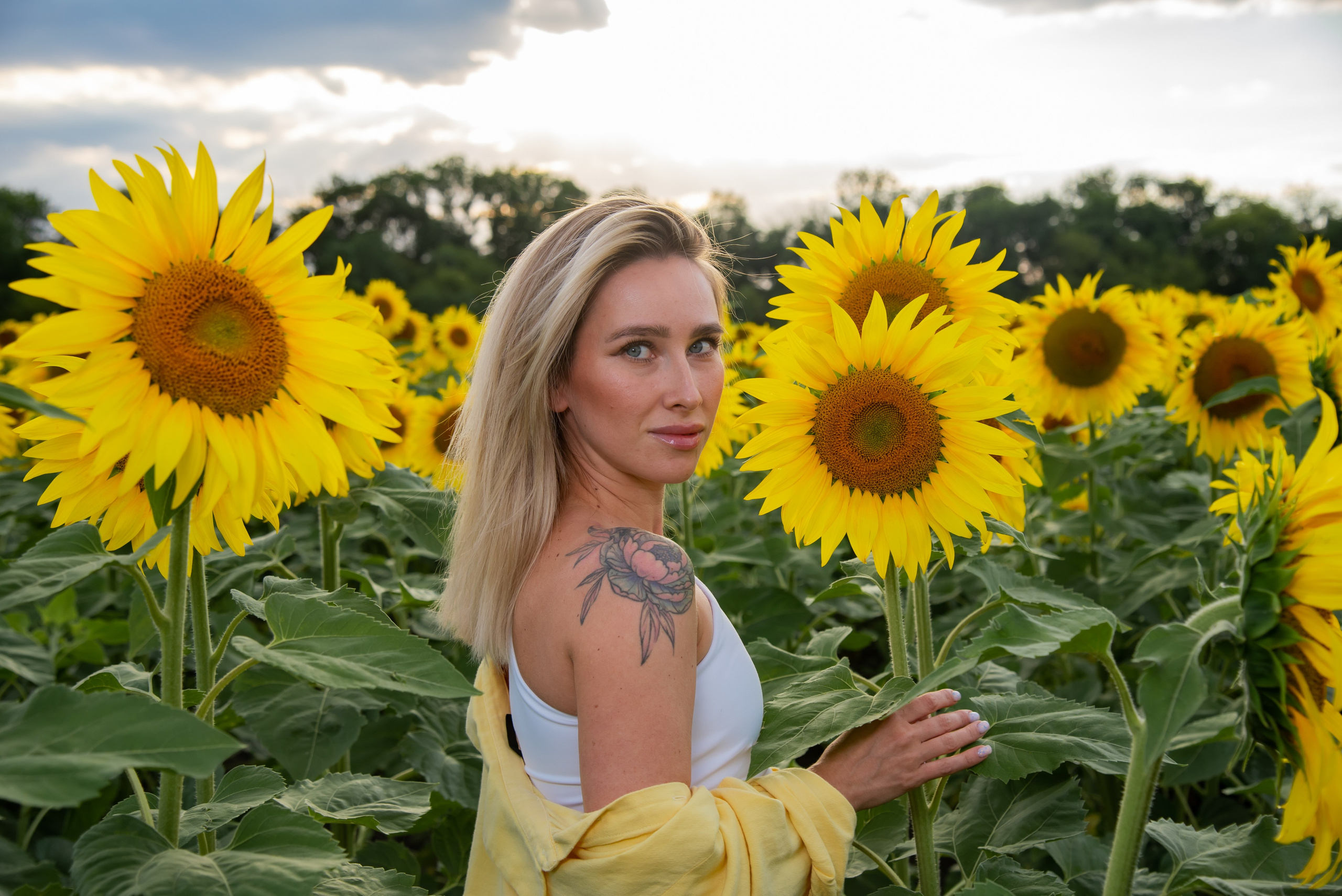 Подсолнух. Фотограф Галина Нестерова