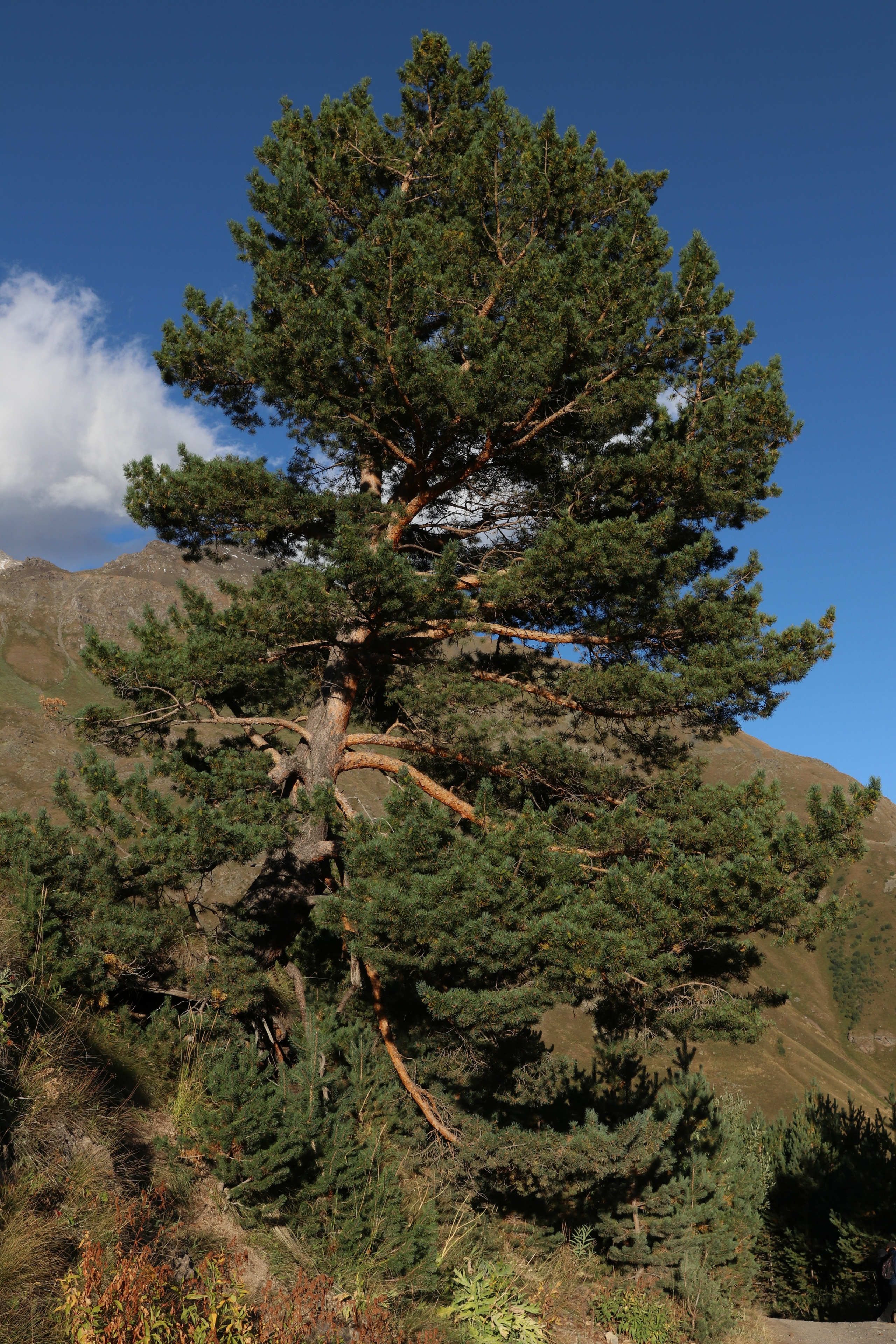 Приэльбрусье. Сентябрь 2023. Путешественник-фотограф из Санкт-Петербурга Татьяна Свистулина