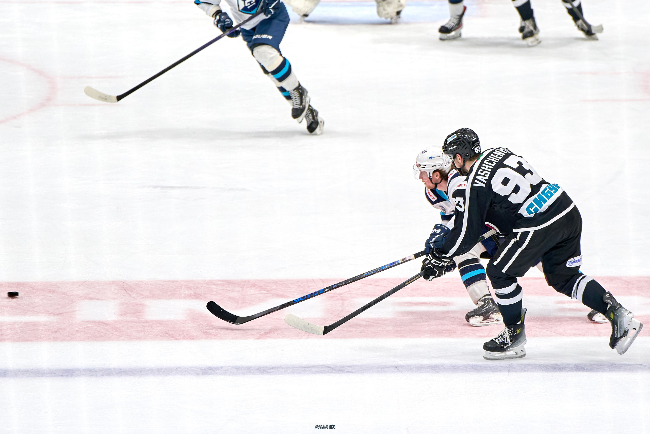 СПОРТ. MAKSIM ZVEREV