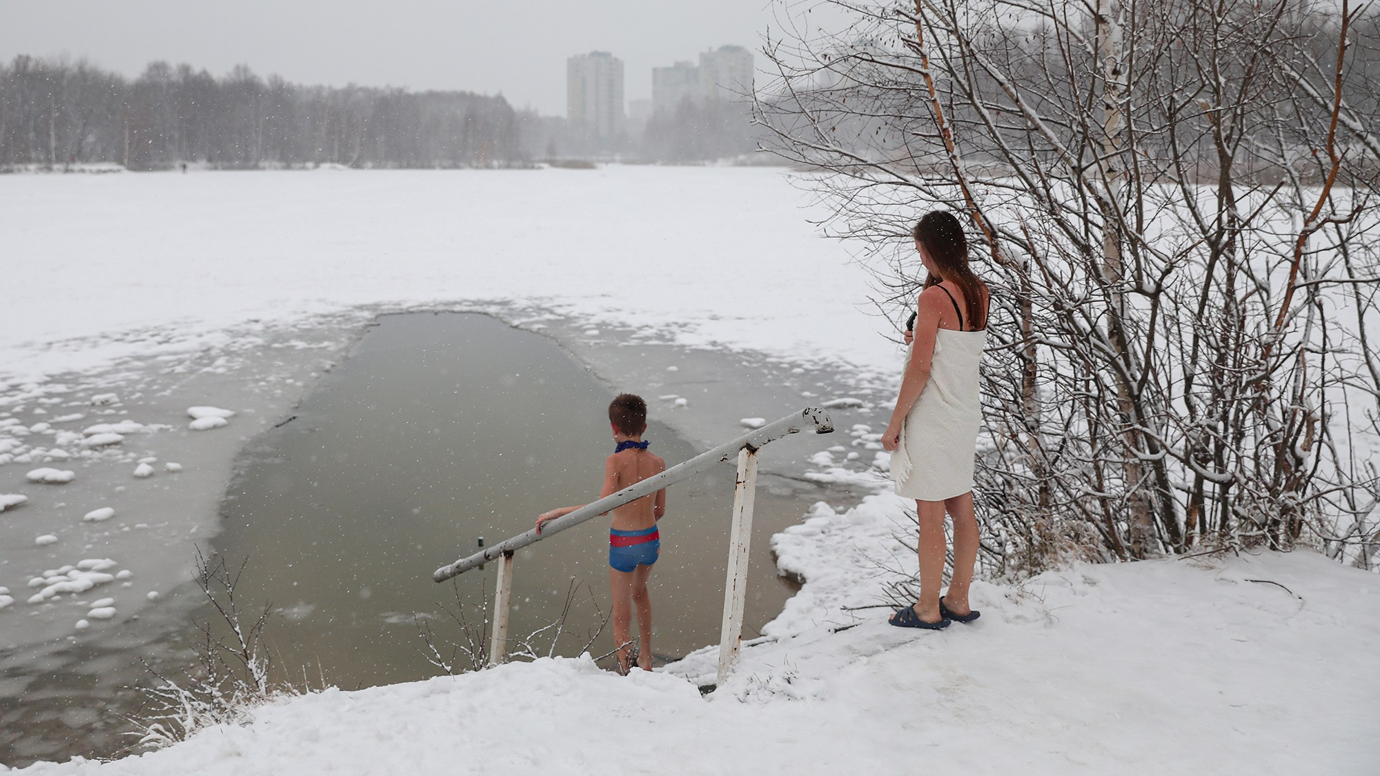 Моржи. Reporter