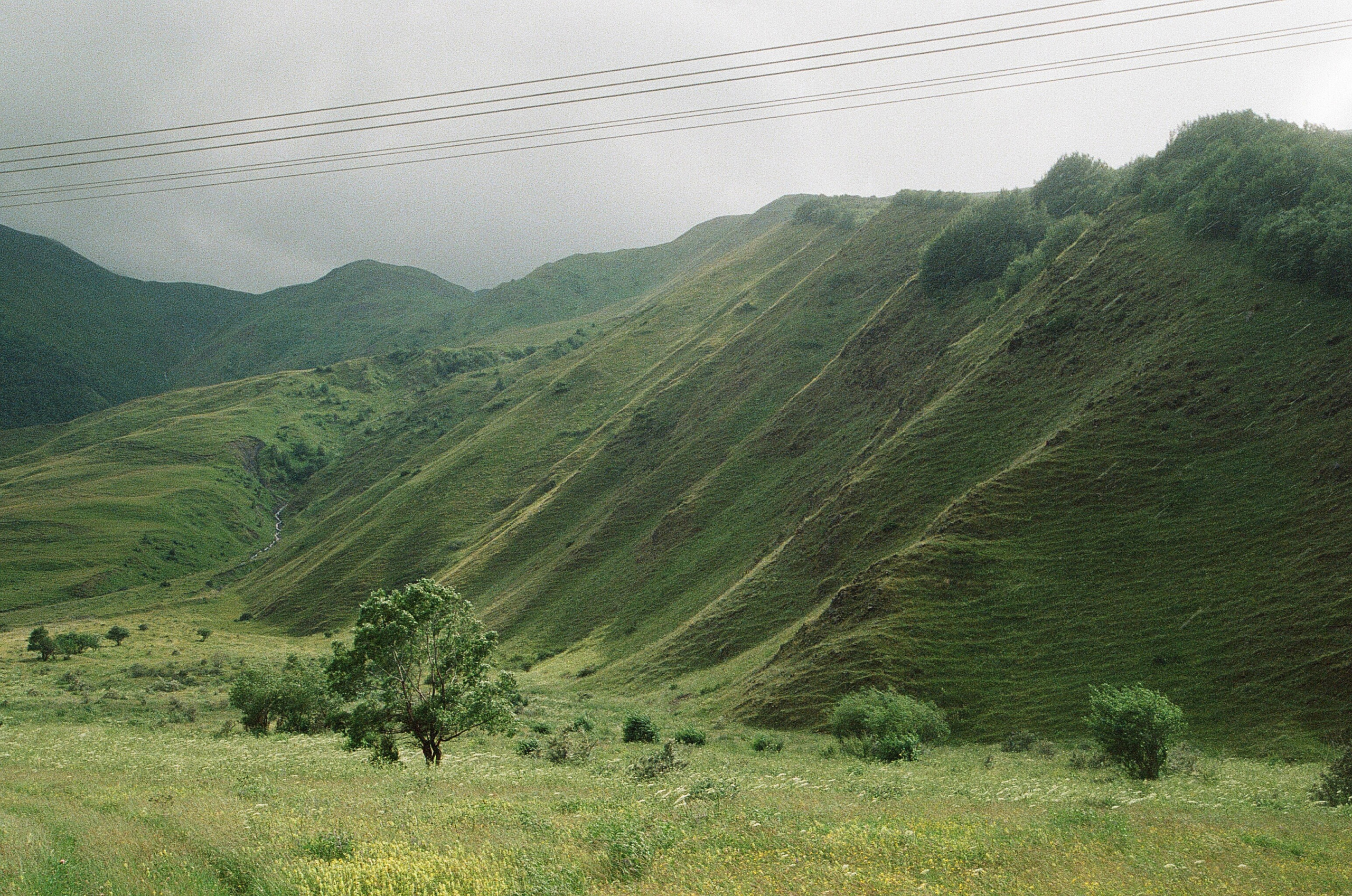 ГРУЗИЯ. ПРИРОДА.25. Профессиональный фотограф Федотова Арина