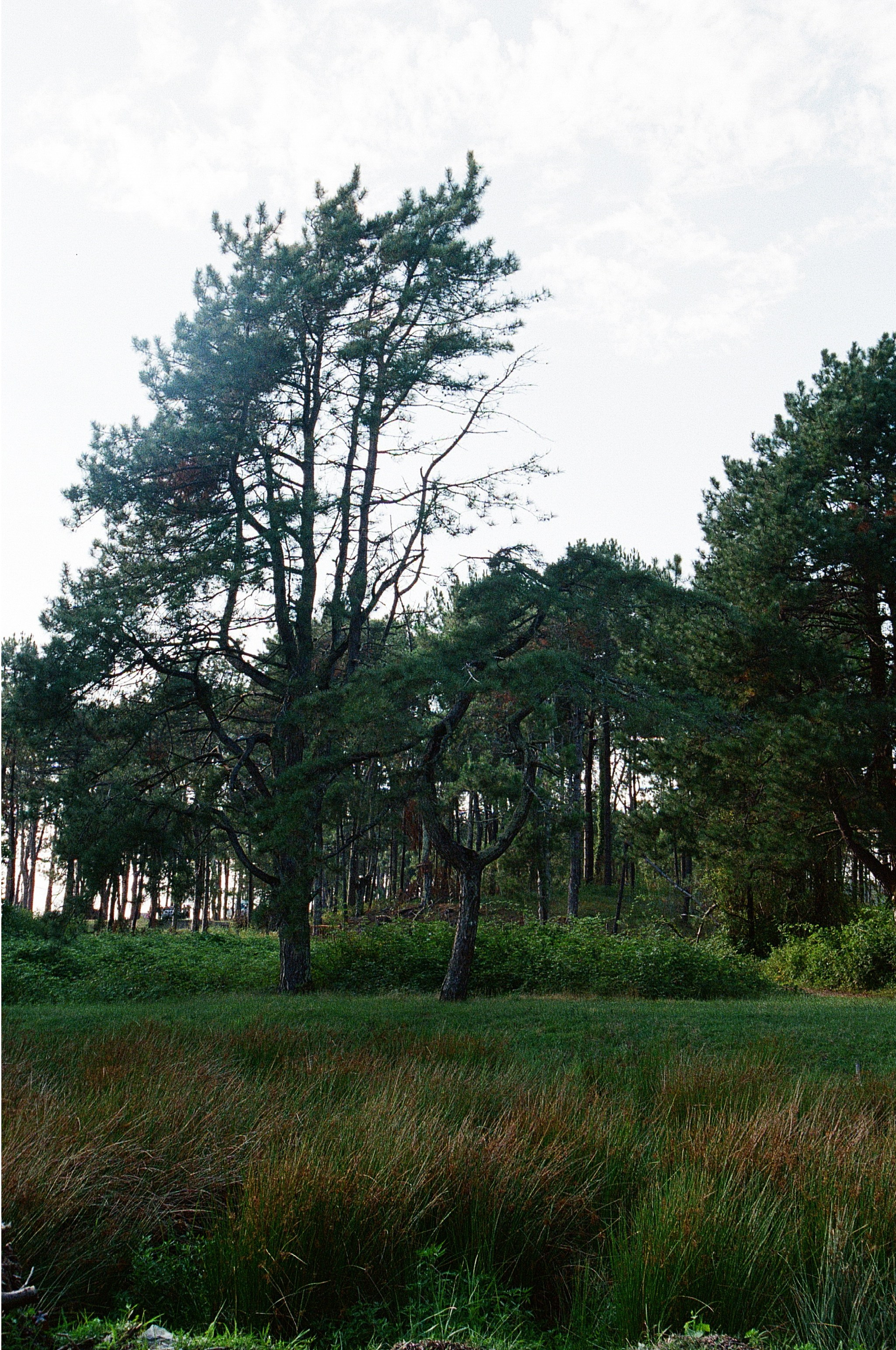 ГРУЗИЯ. ПРИРОДА.25. Профессиональный фотограф Федотова Арина