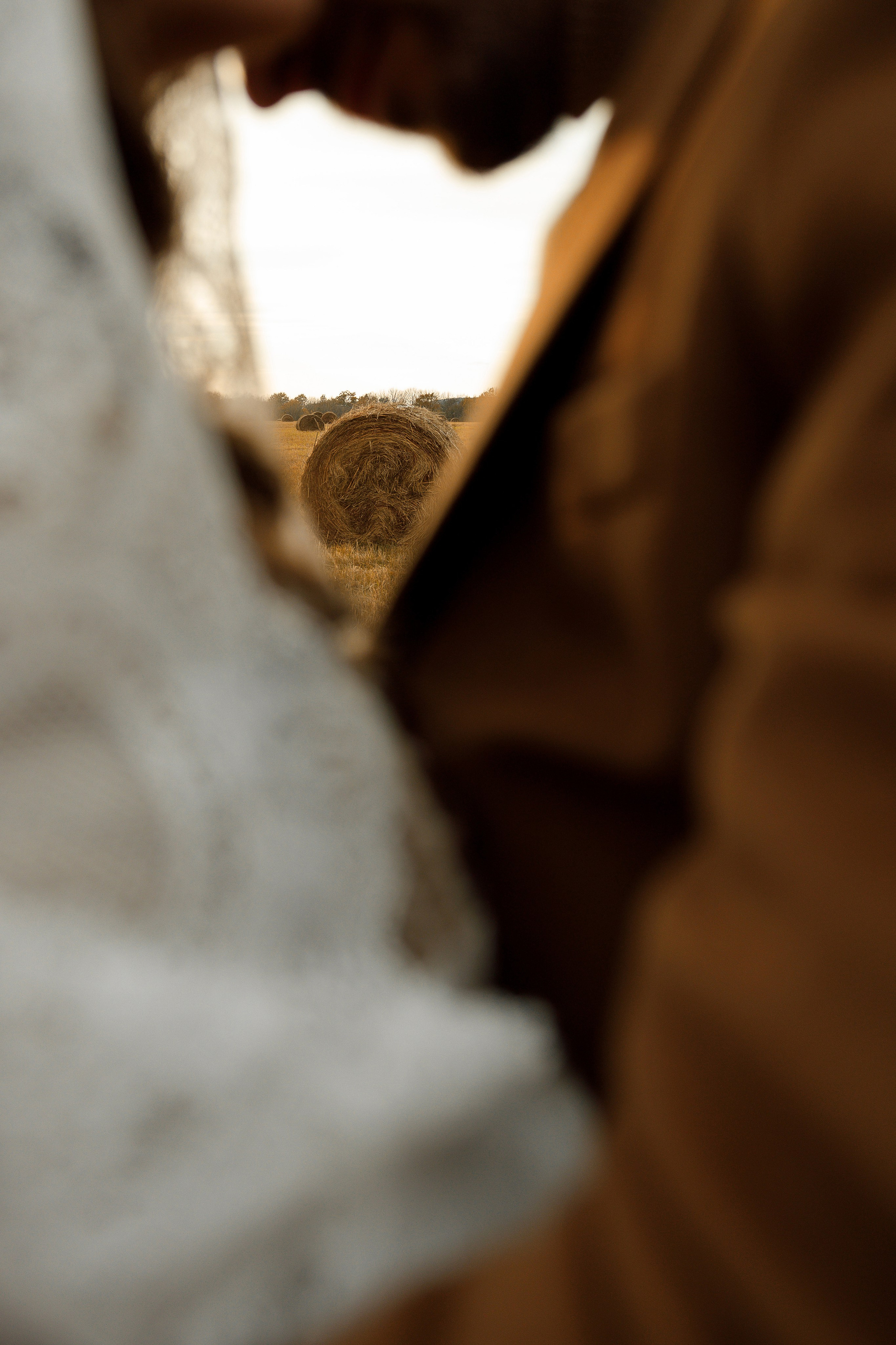 Ясная Поляна. Свадебный и семейный фотограф  во Владивостоке Ольга Украинец