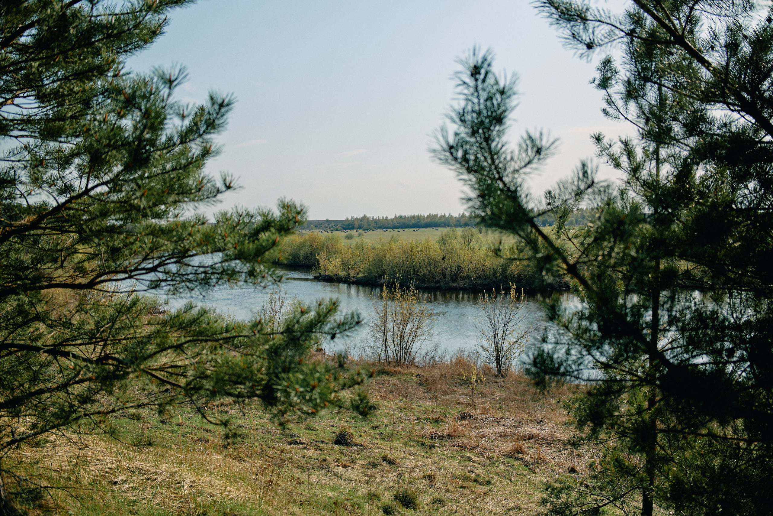 Бутик-отель Поле летом. Профессиональный Фотограф во Владимире, в Москве и в Суздале — Полина Романычева