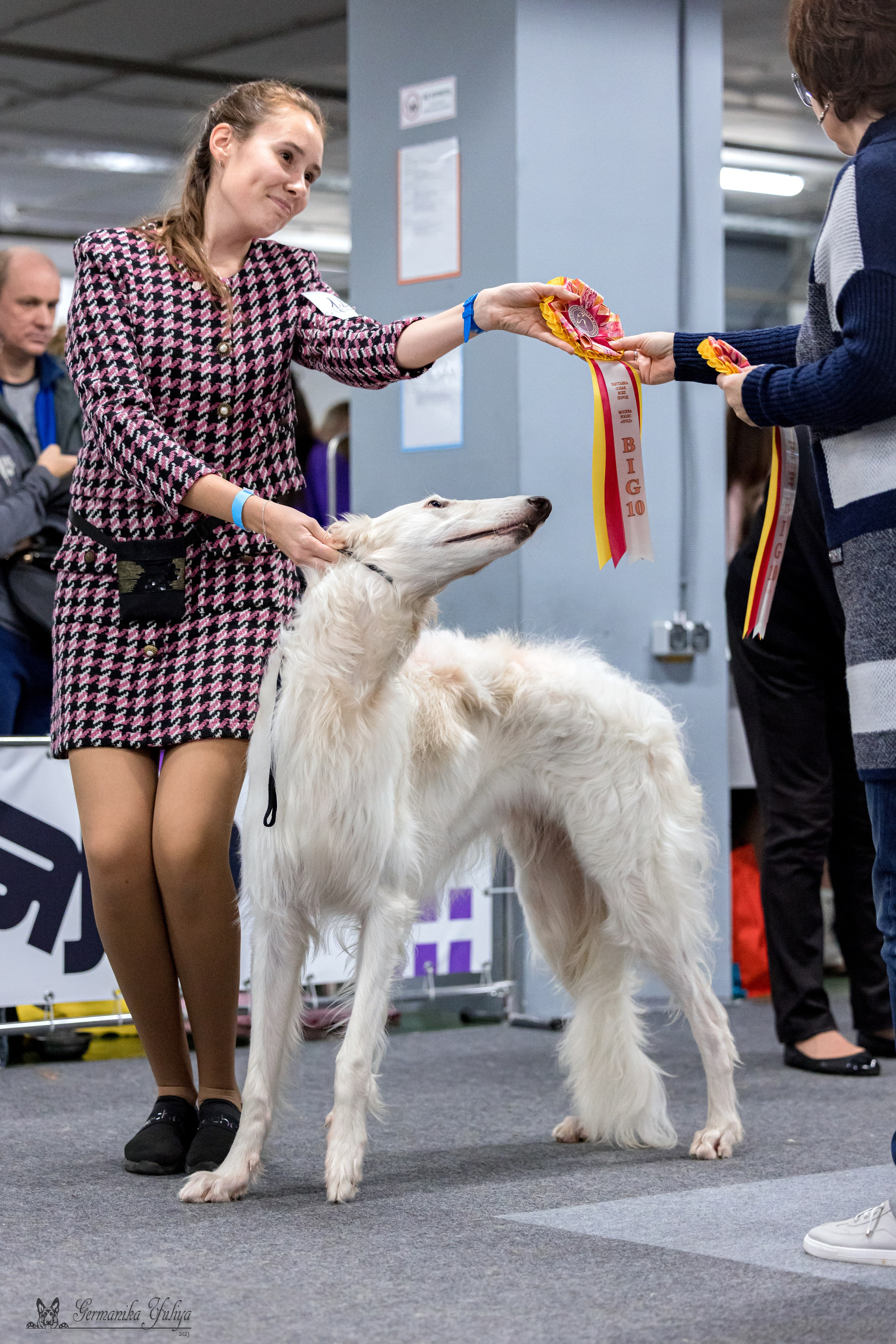 Сфера 29.10,Крокус 4.11,Сфера 12.11.2023. Фотограф-анималист Юлия Германика