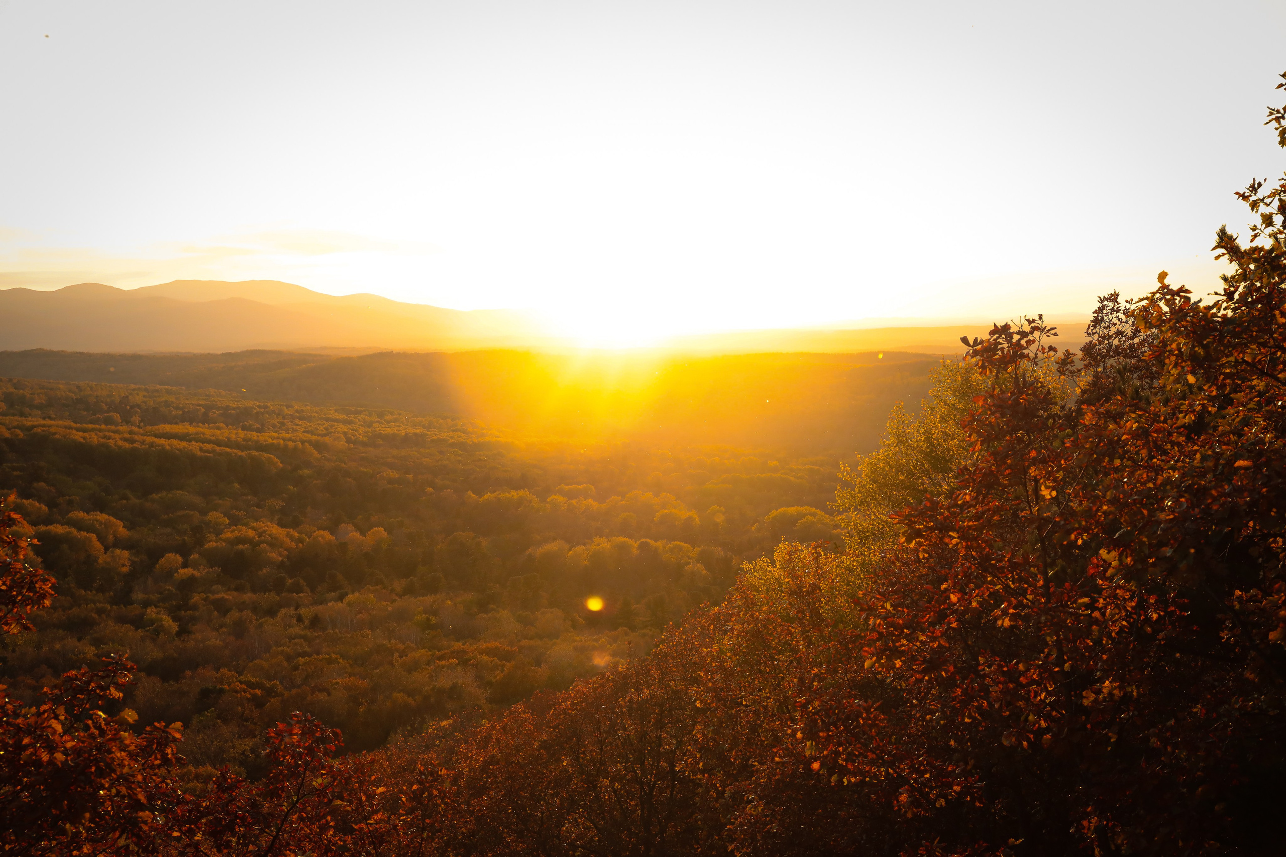 Фотограф г. Хабаровск. Семейные и индивидуальные съёмки