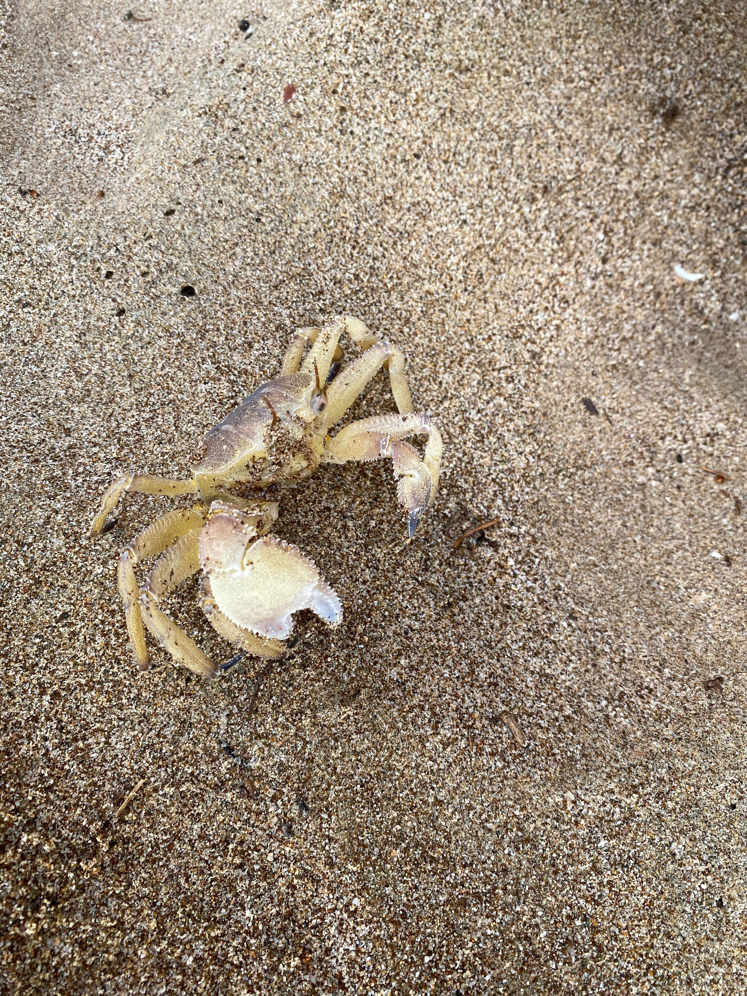 Эмираты — 19. Своя Мастерская