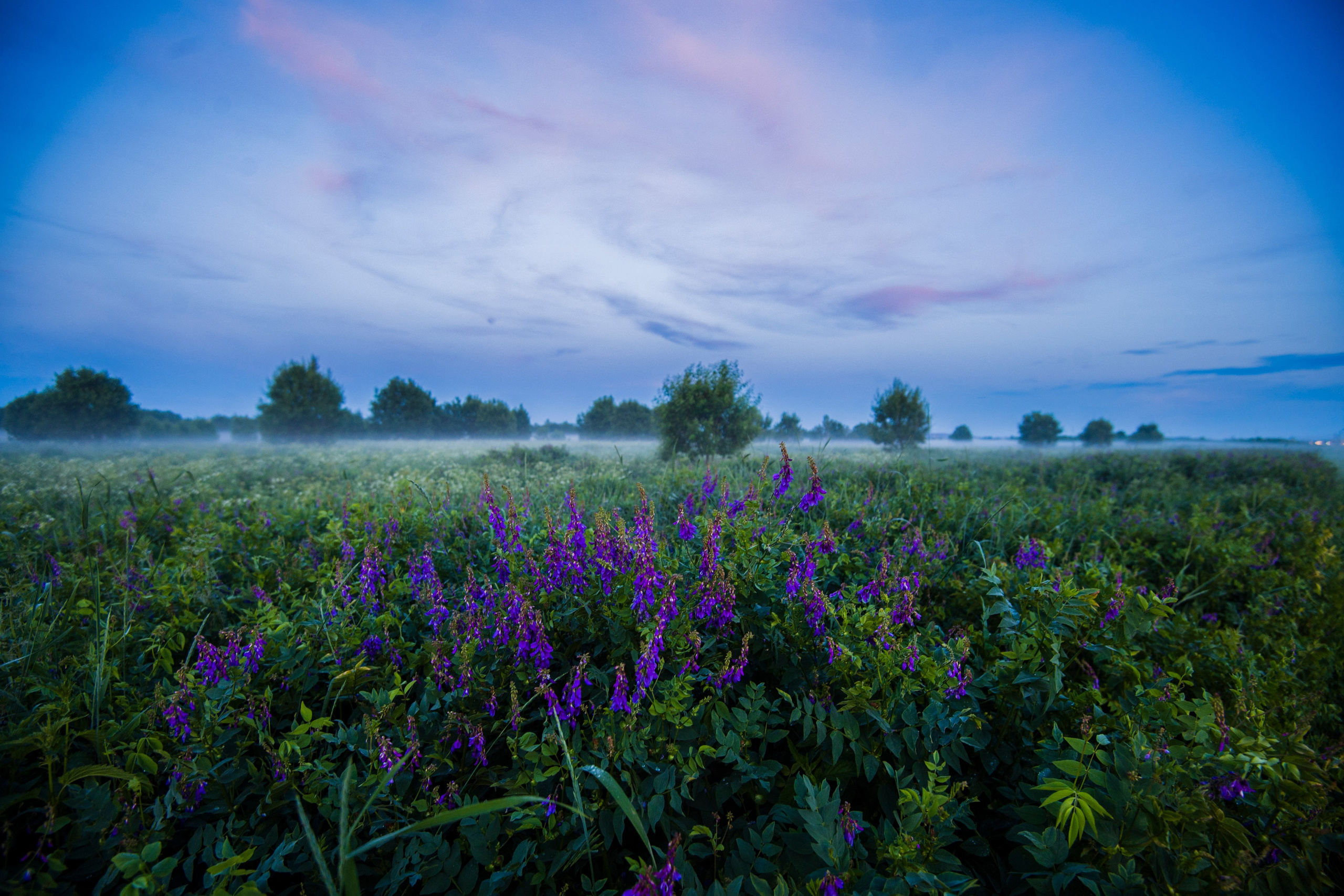 Пейзаж. Документальный фотограф Сергей Вдовин