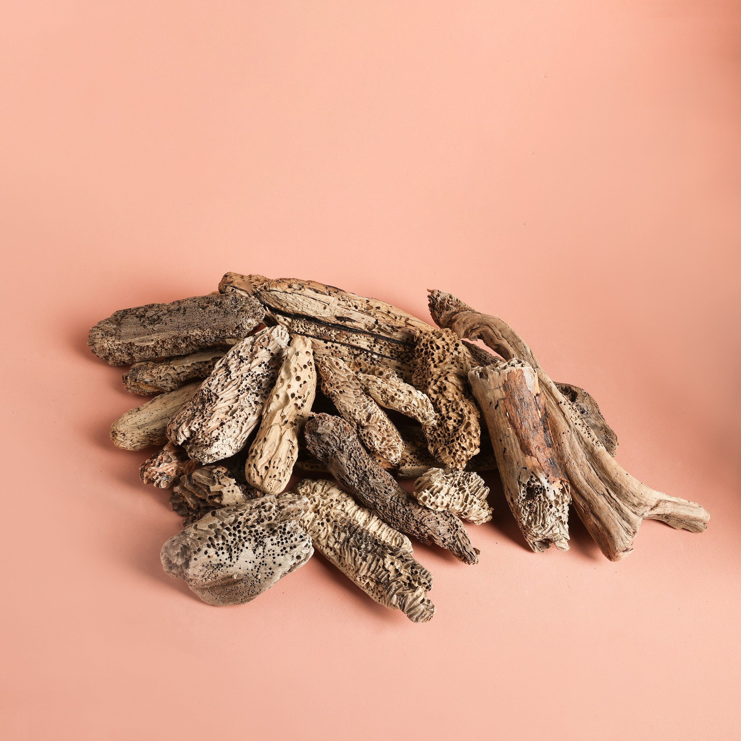 ДрифтВУД. КОРЯГИ