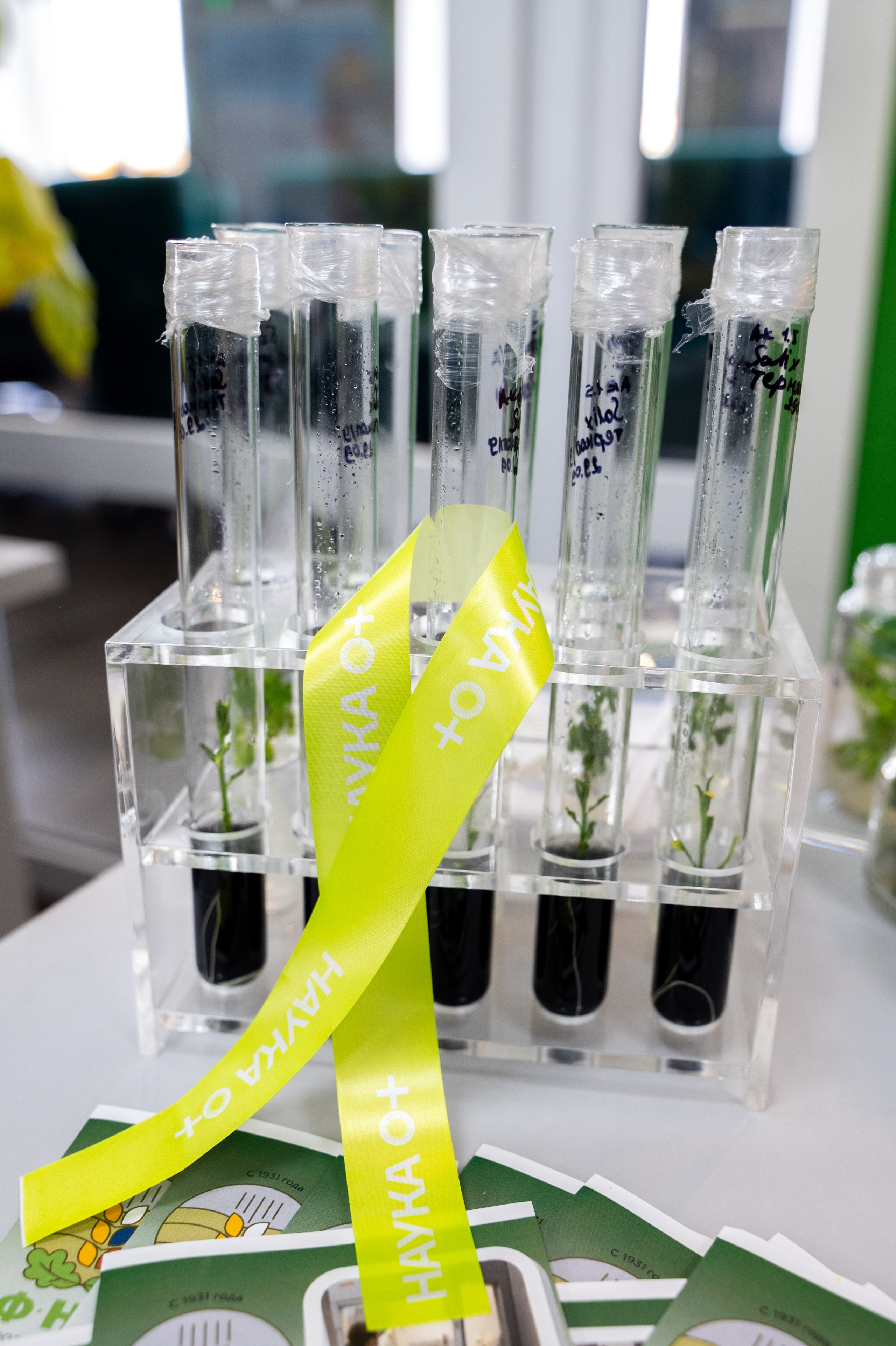 Международная конференция РАН