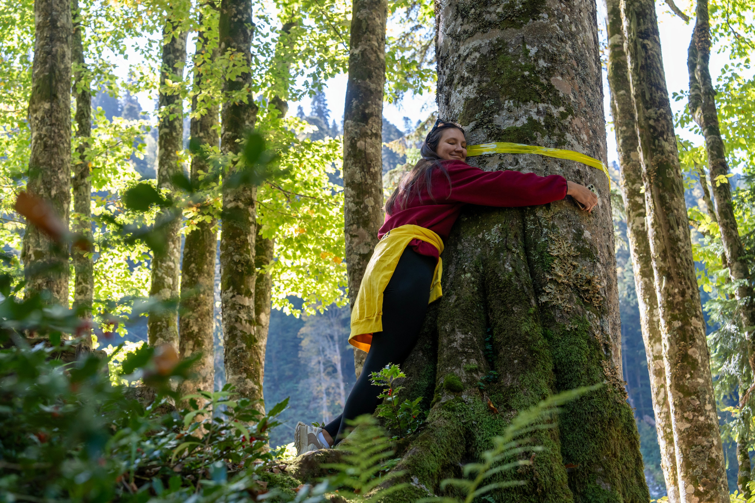 ChinaRosaFest 2024. Репортажный фотограф в Красной Поляне и Сочи Павлюченко Екатерина
