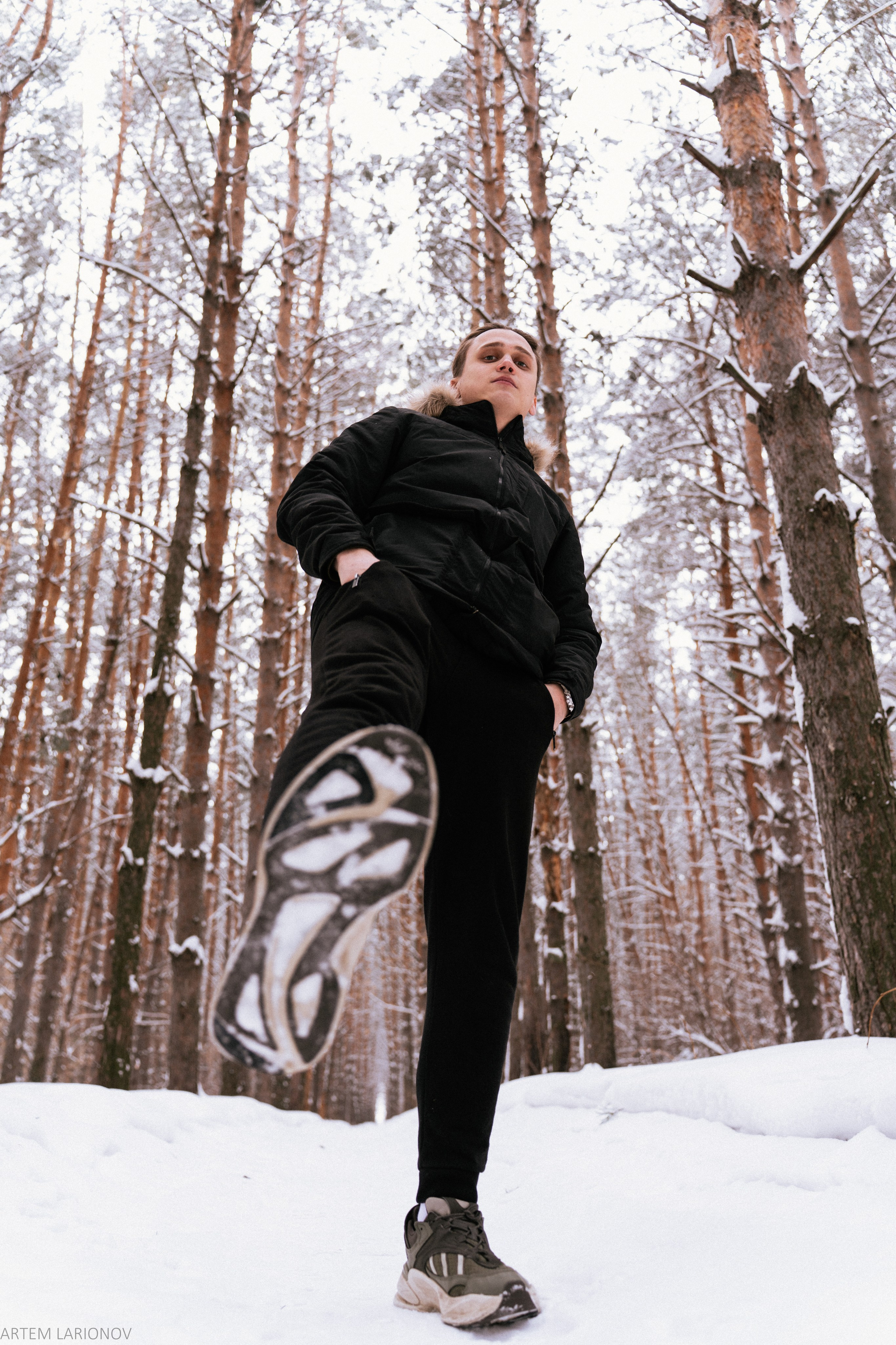 Снежный лес. Фотограф Артем Ларионов