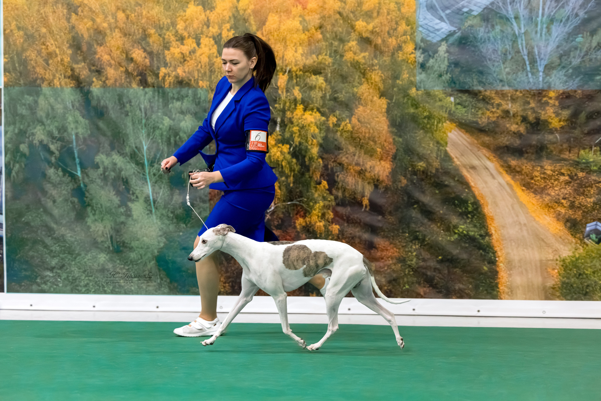 Крокус 21.12.2024,Сфера 29.12.2024. Фотограф-анималист Юлия Германика