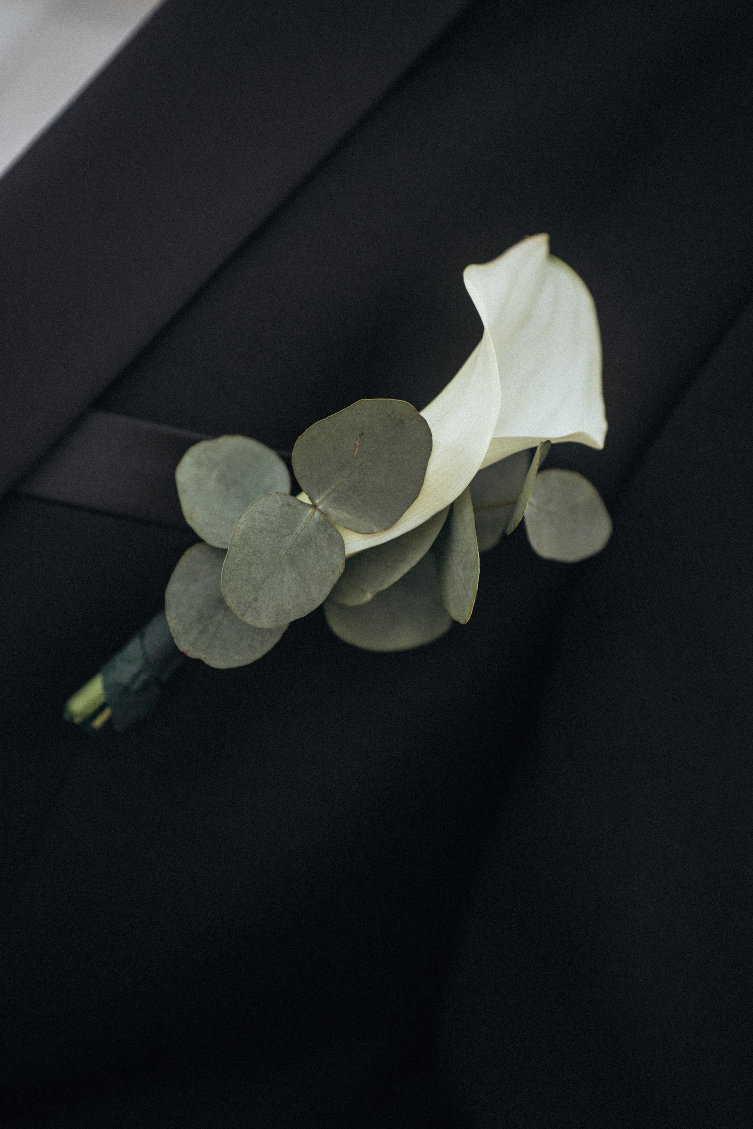 Фотограф свадьба Голубицкое Анапа Темрюк Геленджик Новороссийск Абрау-Дюрсо фотосессия