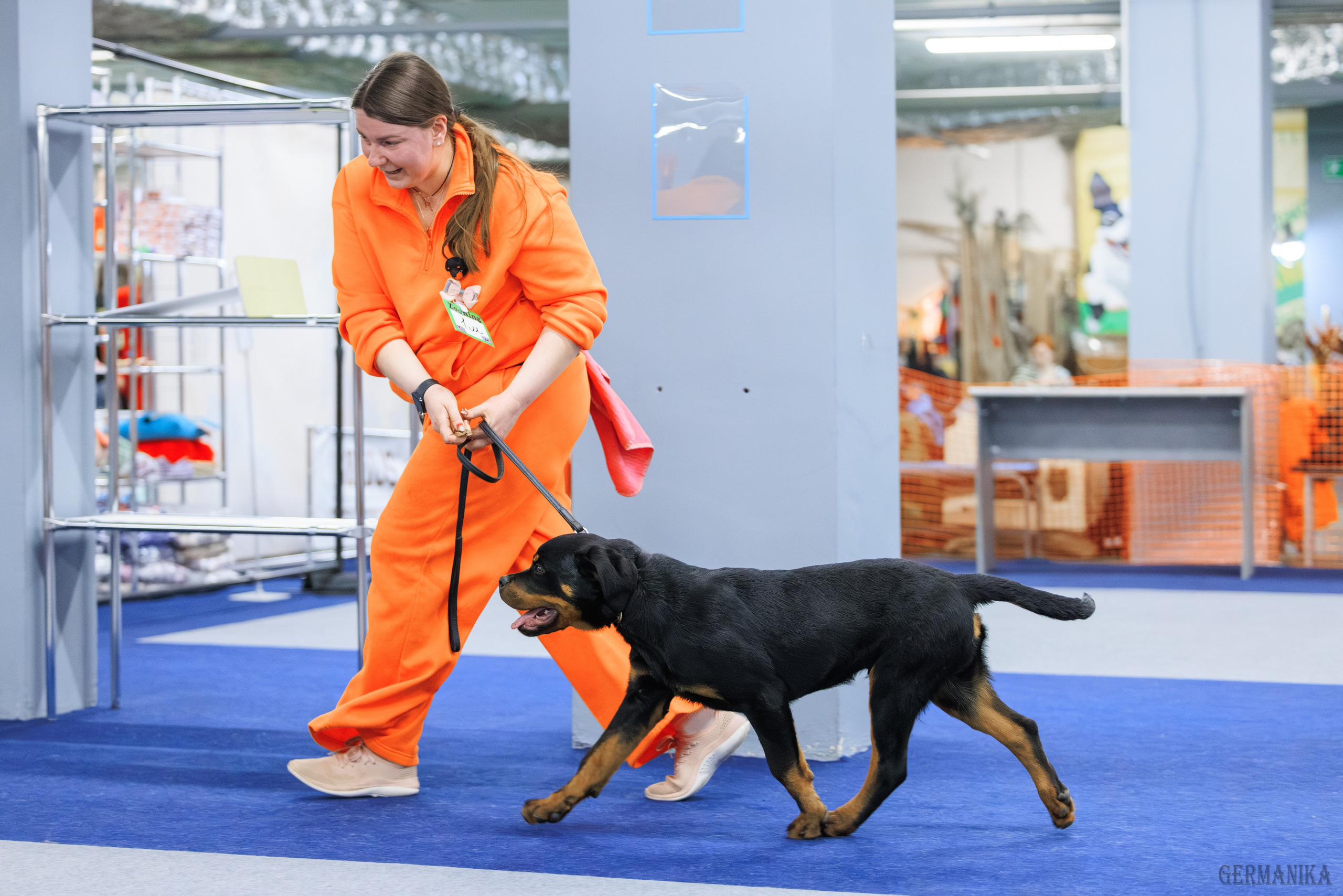 Сфера 08 и 10.03.2024 2хмоно ротвейлеров+2хмоно сао. Фотограф-анималист Юлия Германика