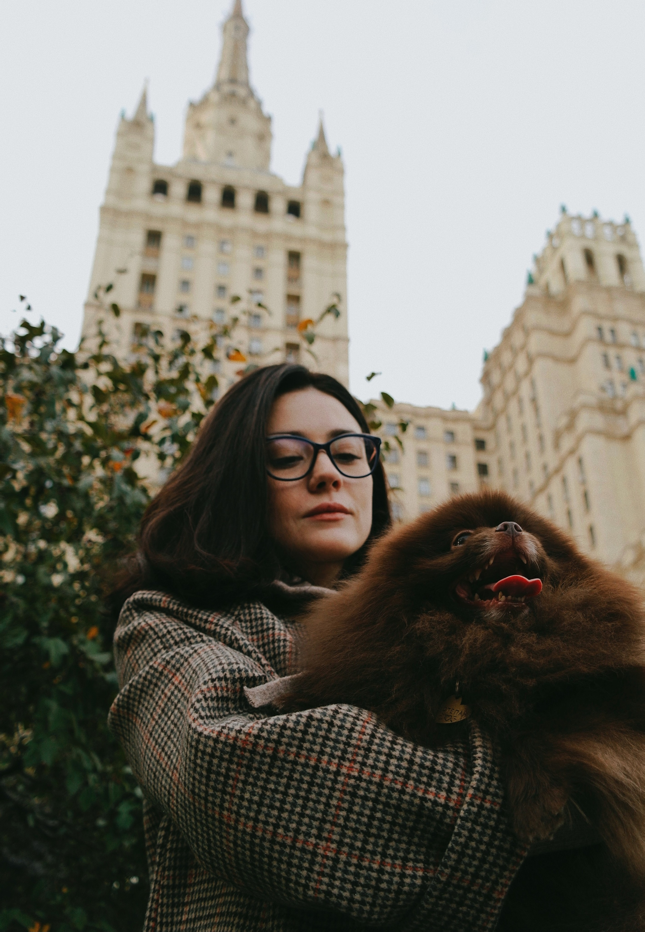 Питомцы. Татьян гертье