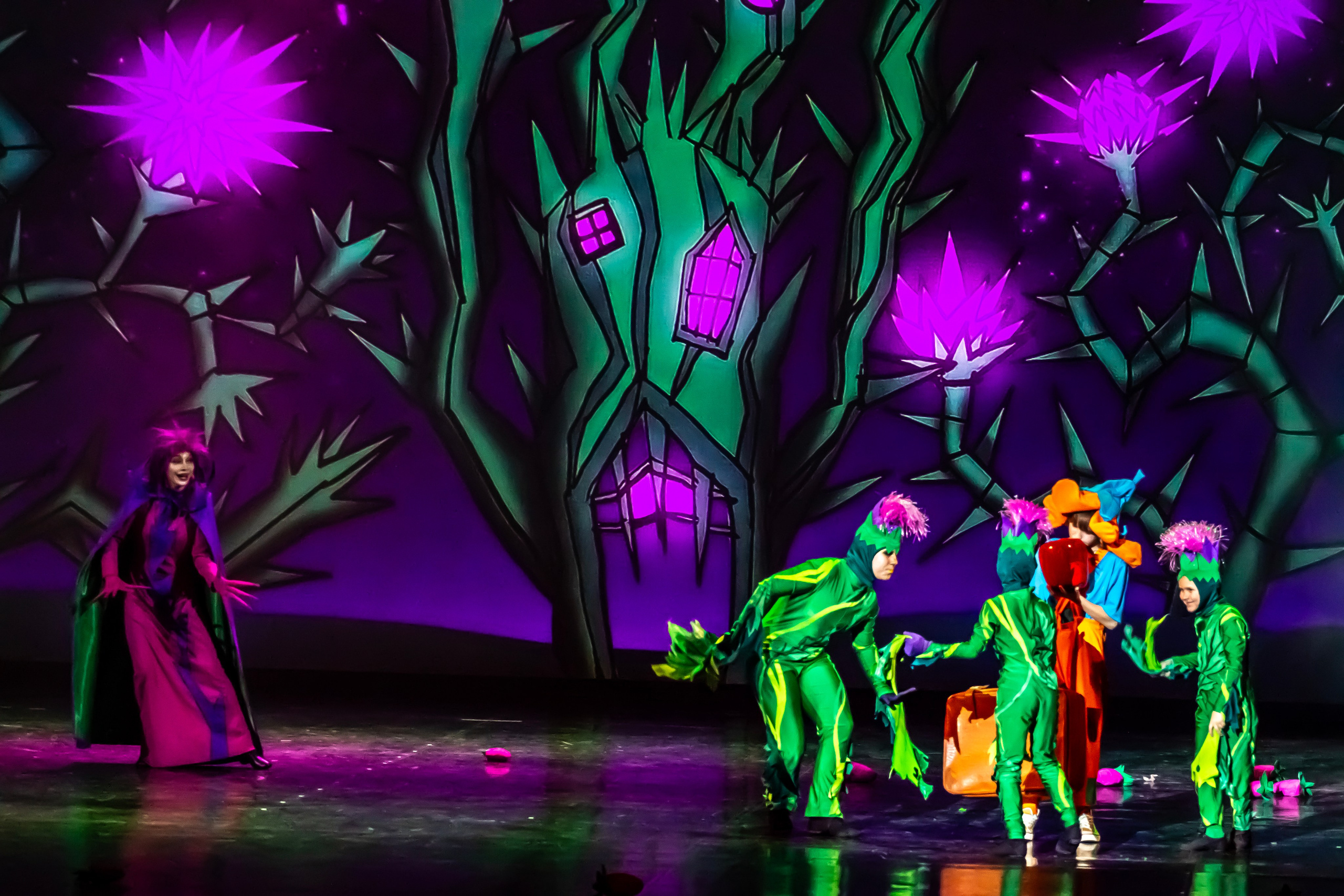 Мюзикл «Незнайка в царстве малюток» премьера Сочи солнышки и Сочи Соло. Фотограф в Сочи Юрий Шептаев