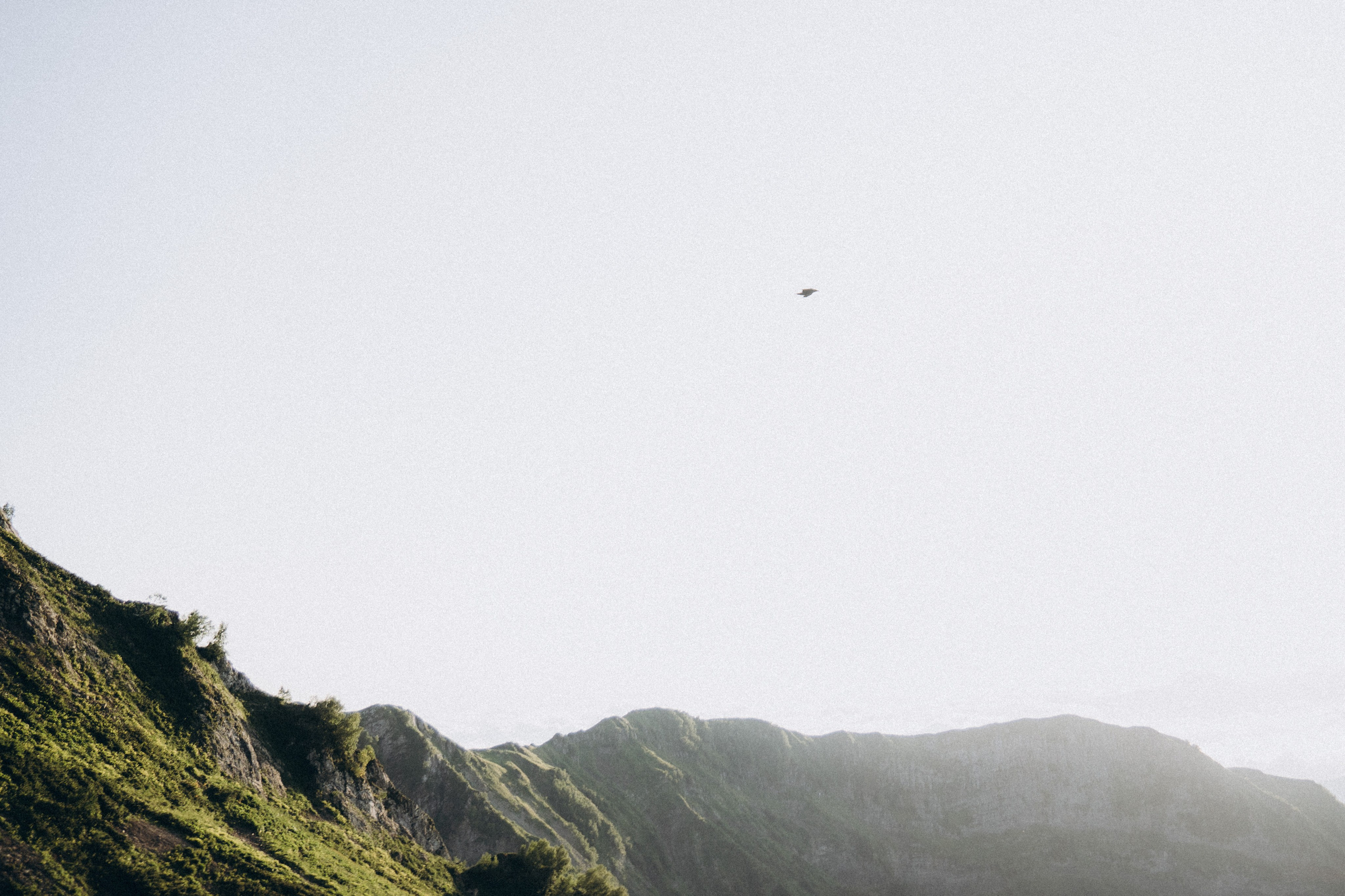 Gregory, Marina & Martina. Olga Antipova — photographer