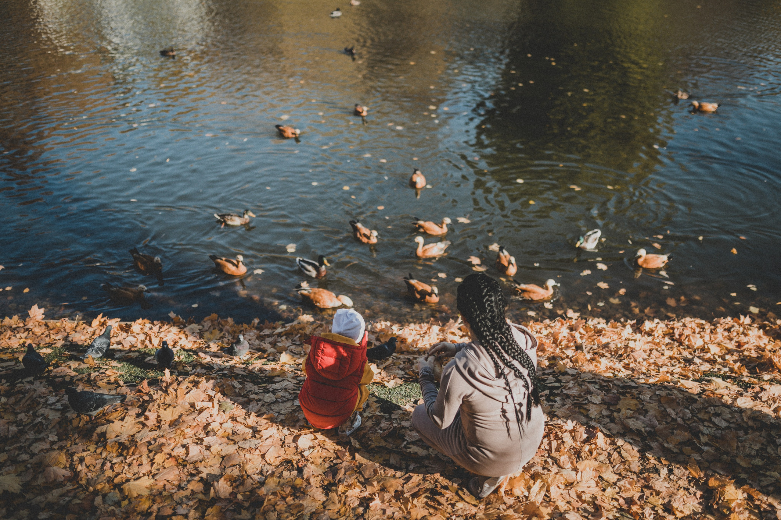 КОГДА ДЕРЕВЬЯ БЫЛИ БОЛЬШИМИ. Фотограф Лебедева Наталья