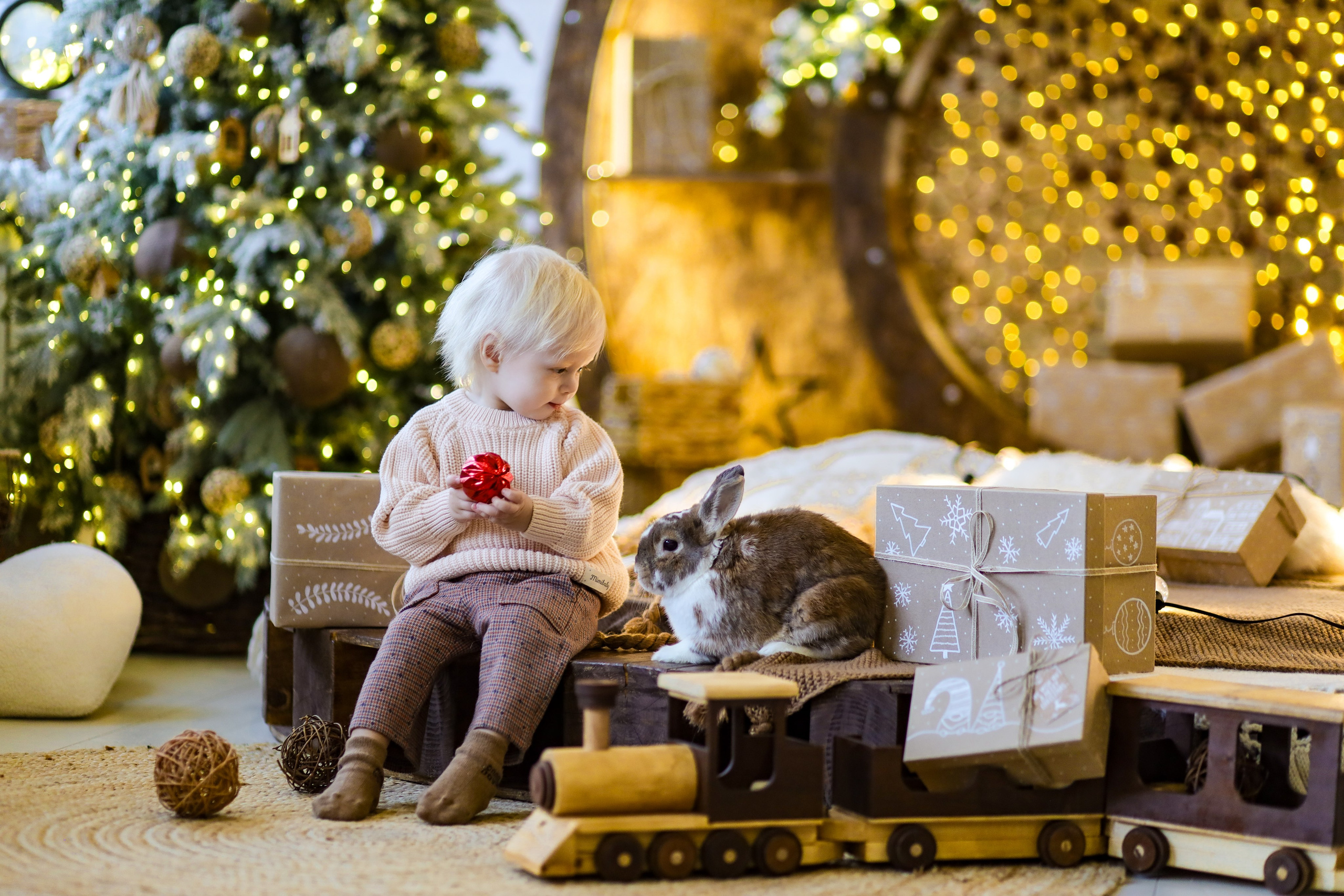 Светлана и Алена. Kharchenkotatianaweddingphoto