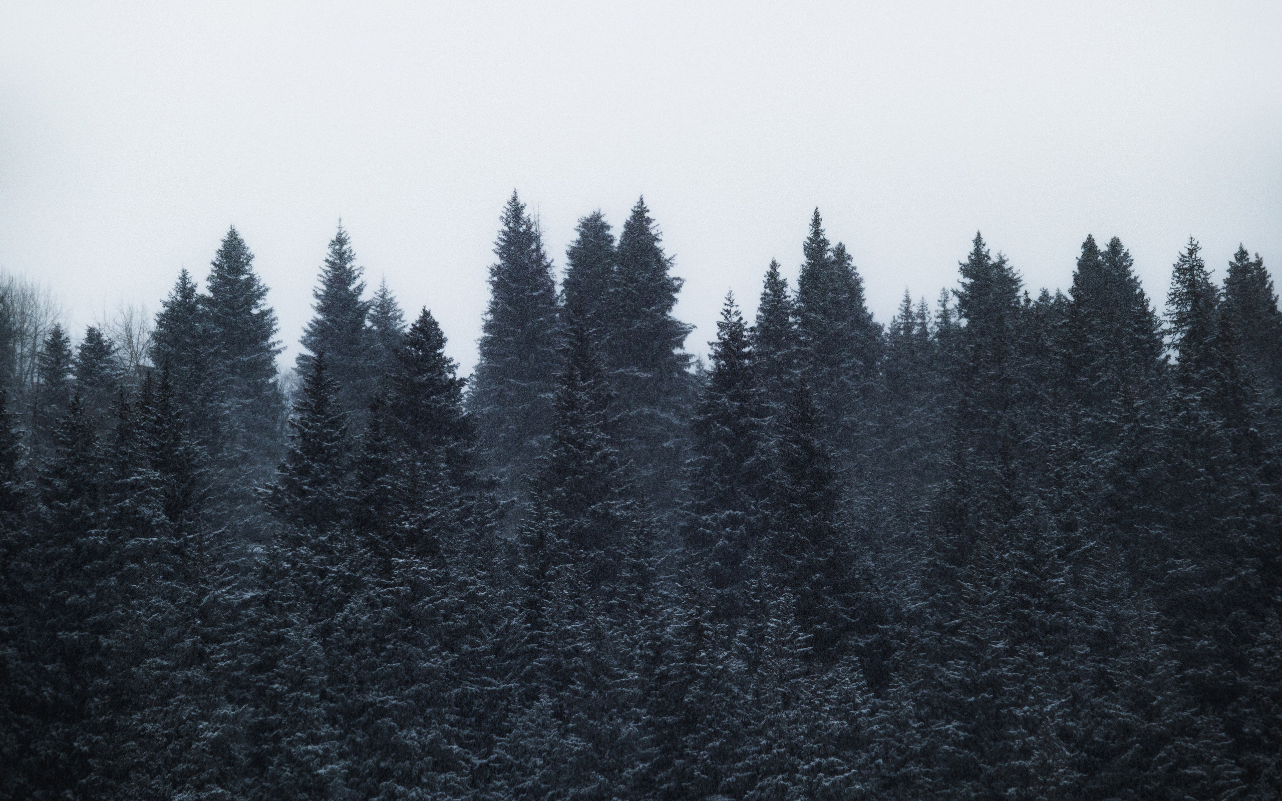 Жизнь. Фотограф Алматы | Весь мир — Никита Колодин