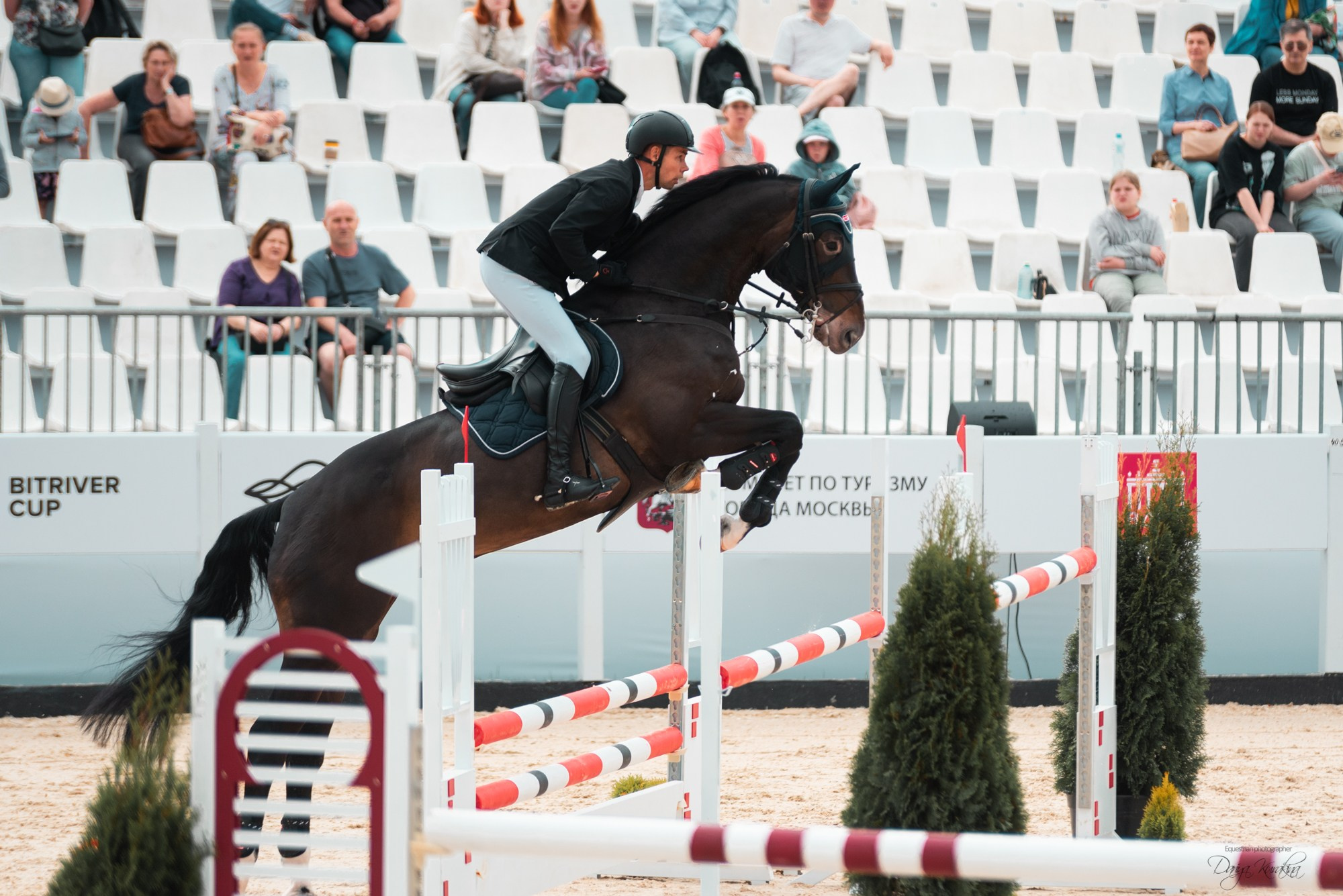 BITRIVER CUP 2023. Конный фотограф Куракина Дарья • Фотосессии с лошадьми