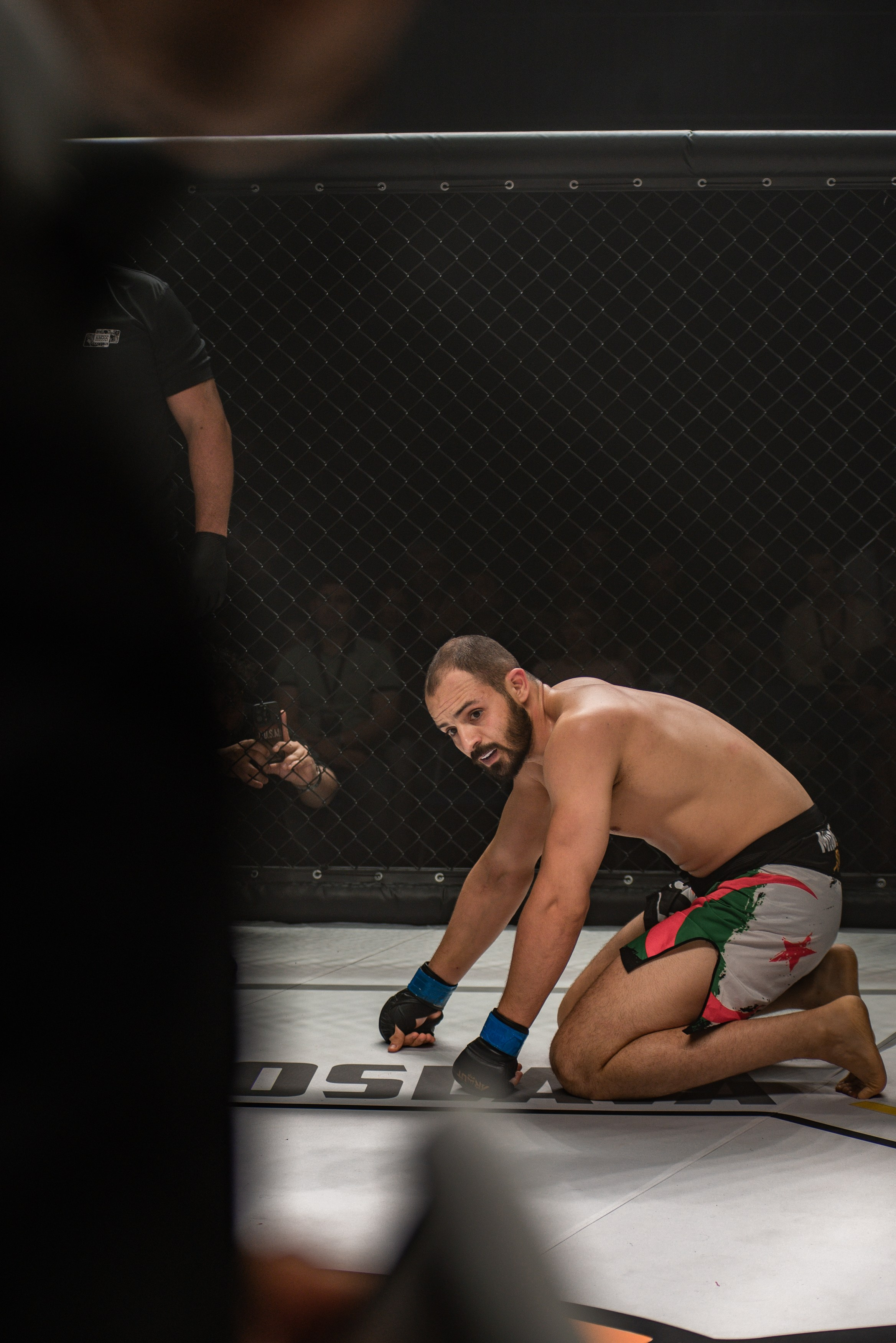 Miroslava Fight