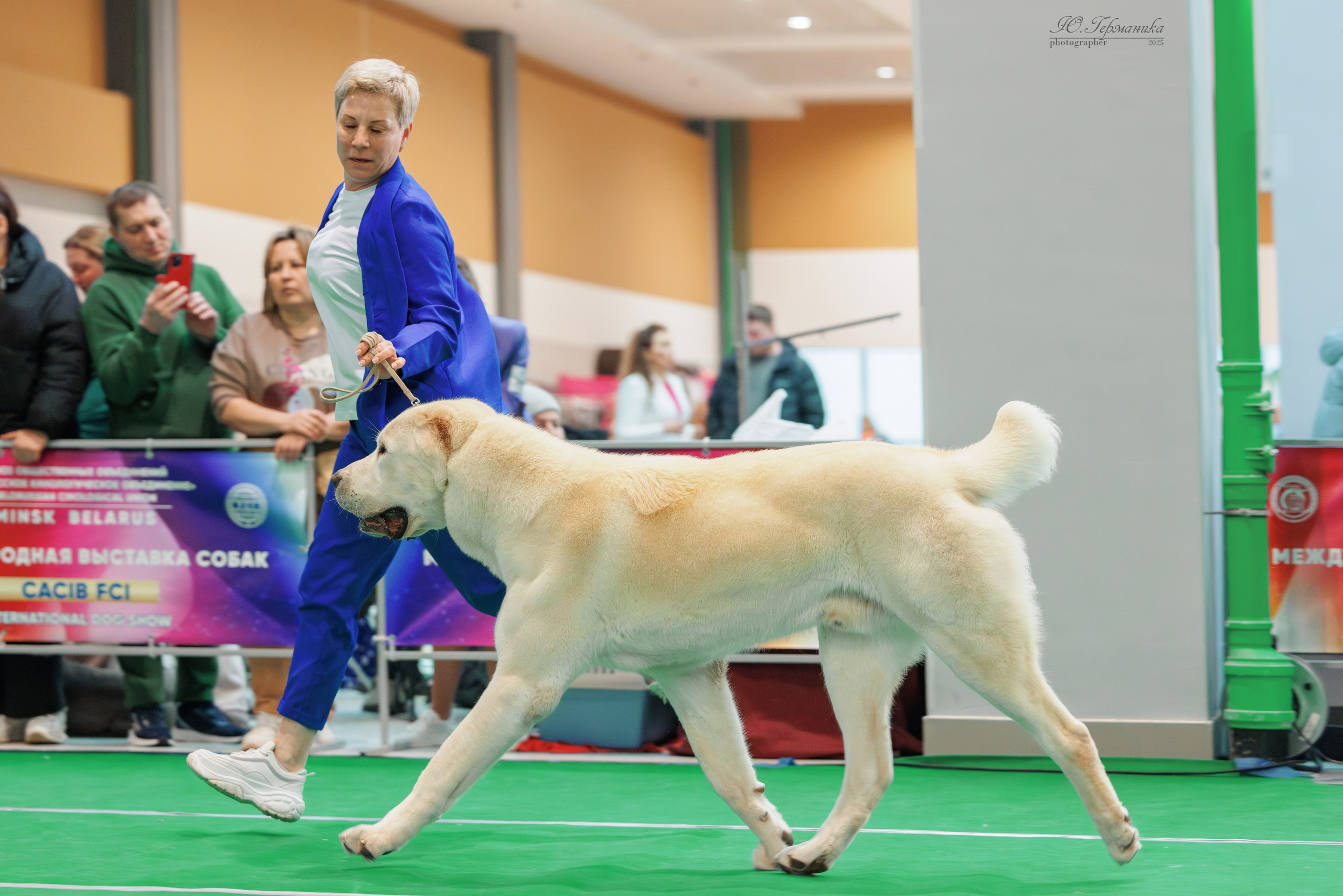 Минск 1-2.03.2025. Фотограф-анималист Юлия Германика