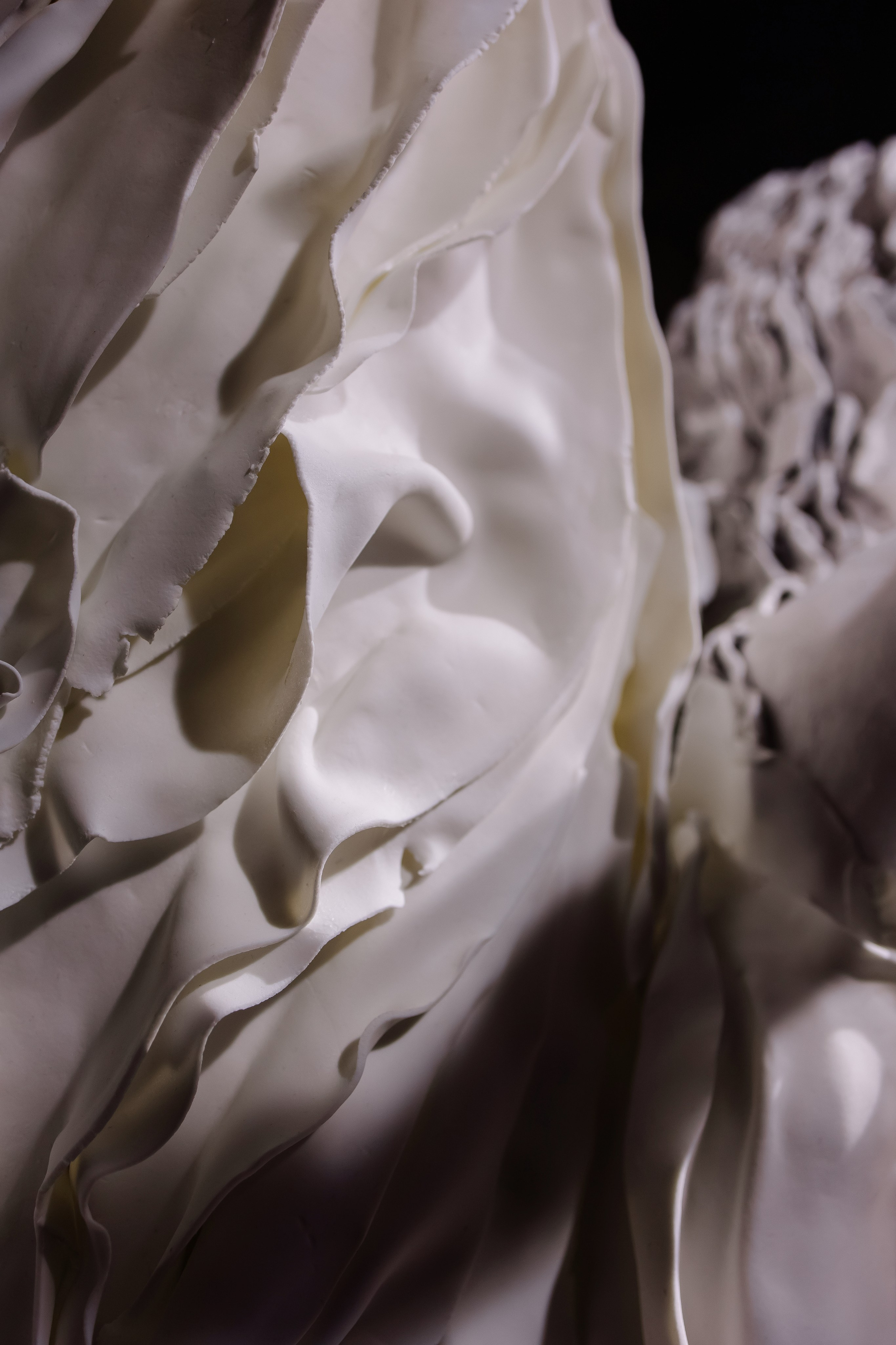 Шоу тортов 2. Свадебный фотограф