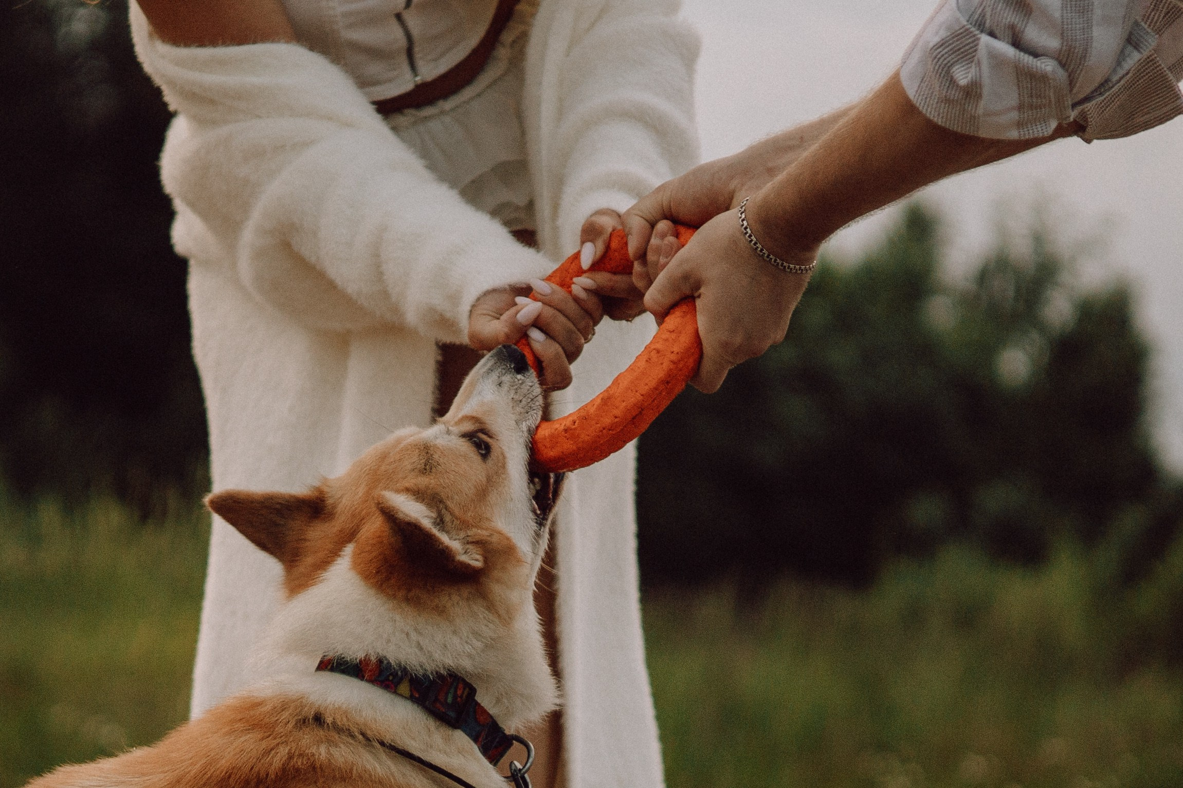 Паша, Настя и их Фёдор. Фотограф — анималист •love-story•|Санкт-Петербург