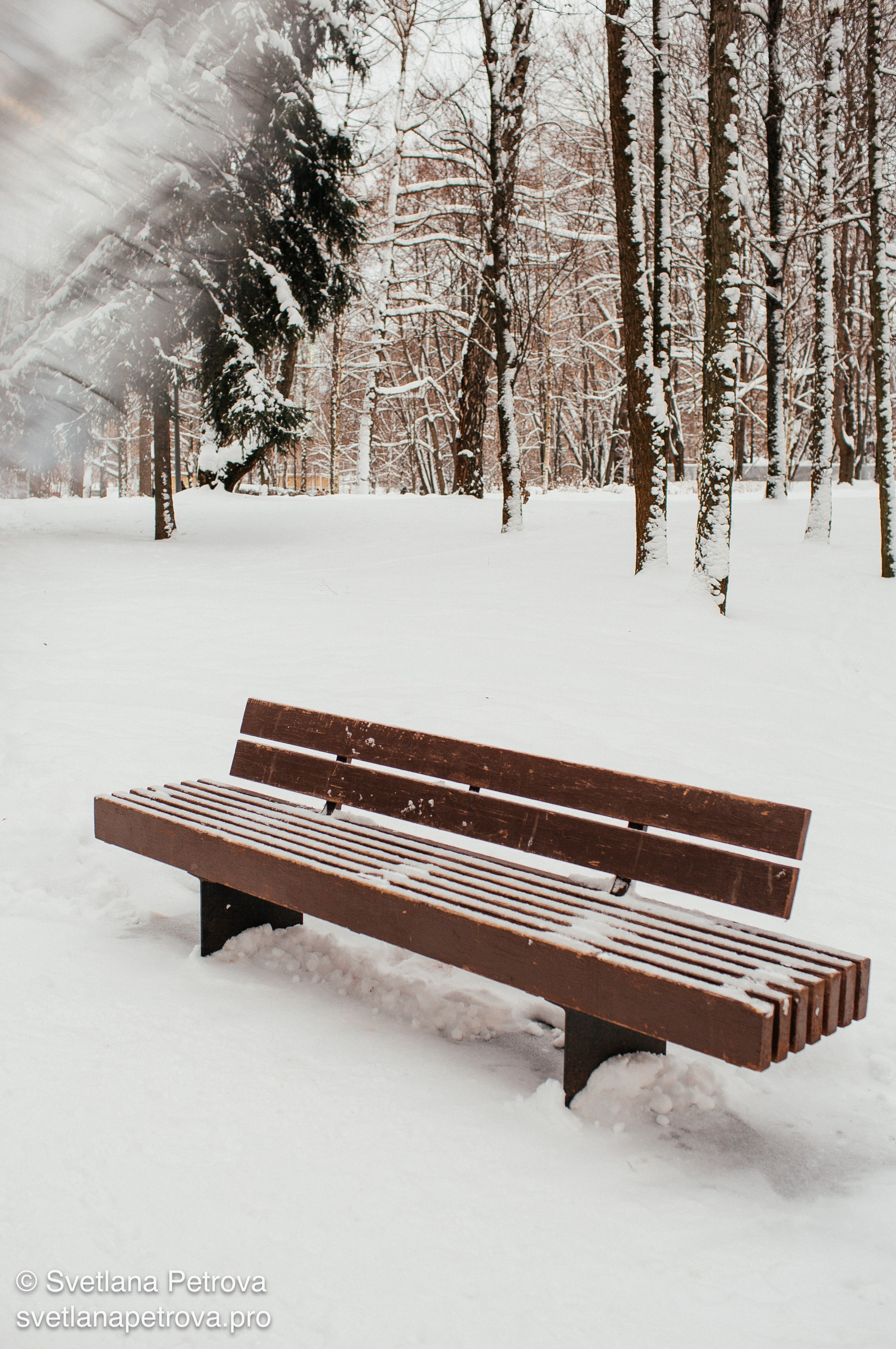 Новогодние Локации 1 января 2026. Фотограф Светлана Петрова