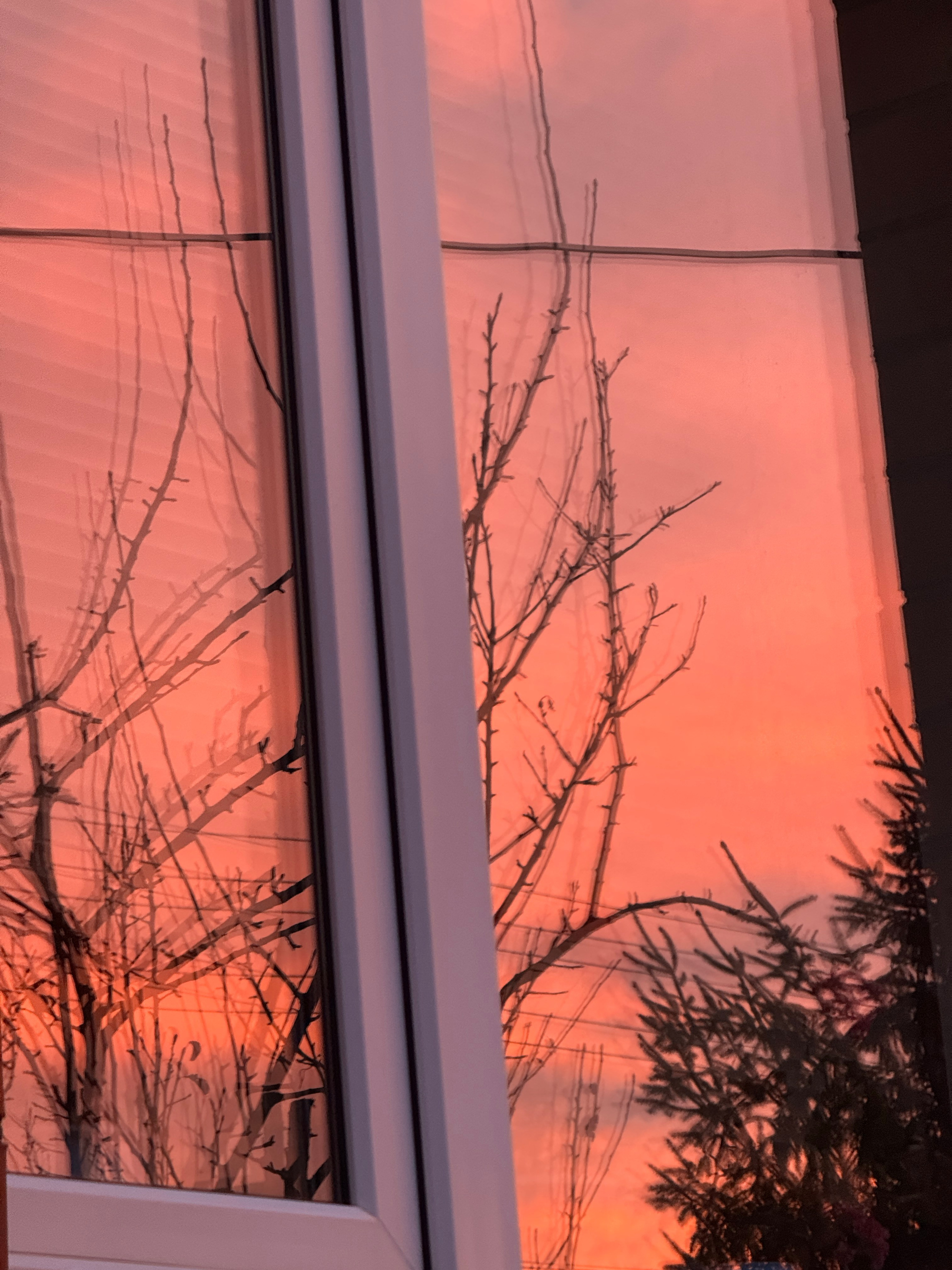 Рассвет в Тамбове. Александра Мельниченко/ Бегающий фотограф