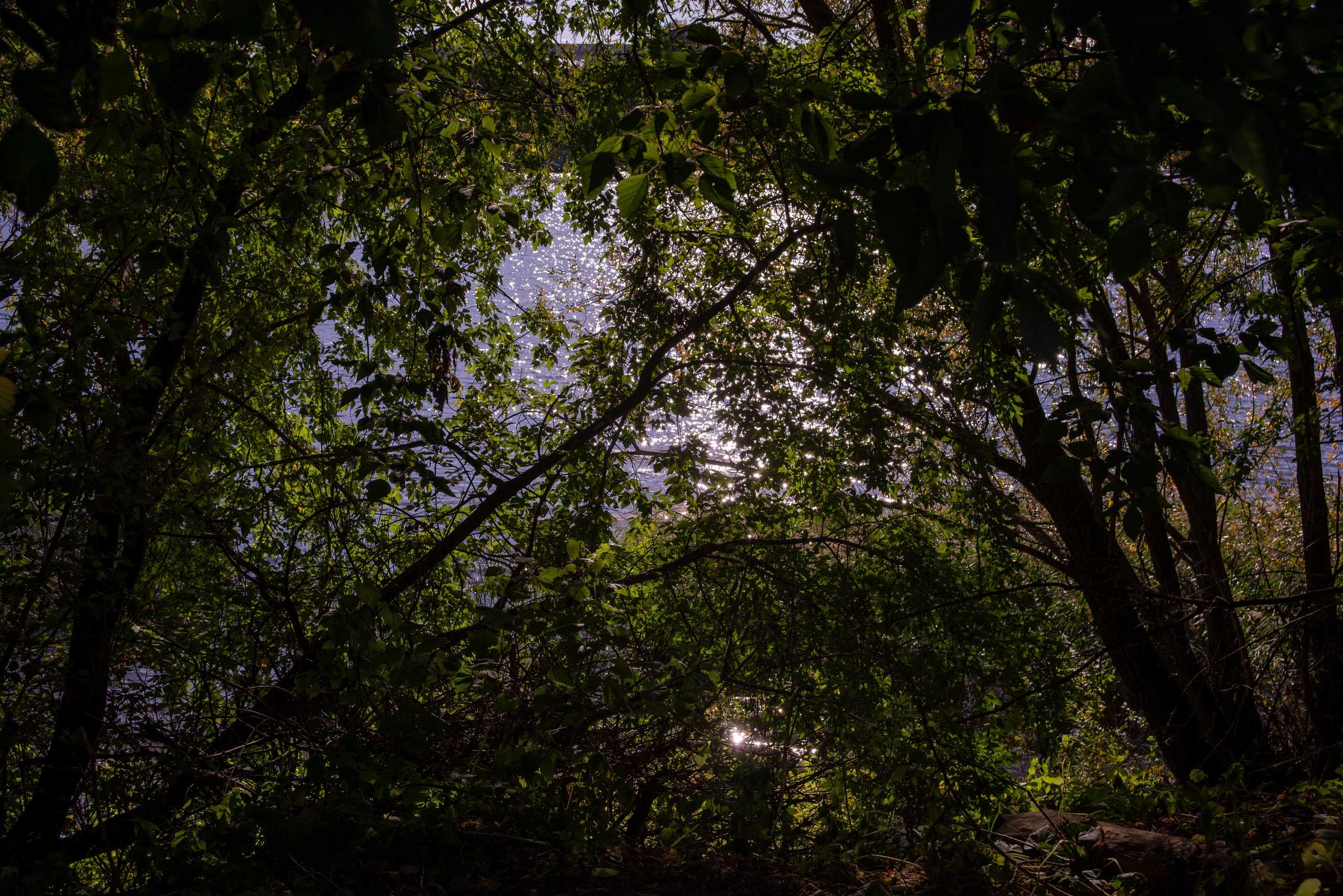 Тверь. 24–26 сентября 2025 (Nikon). Игорь Жучков. Россия увиденная глазами путешествующего фотографа