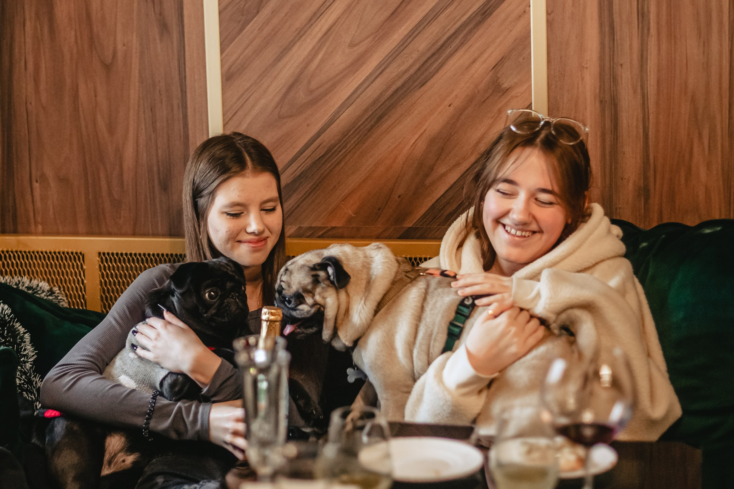 Мопсовстреча 02.12.2023. Фотограф-анималист Татьяна Степанова