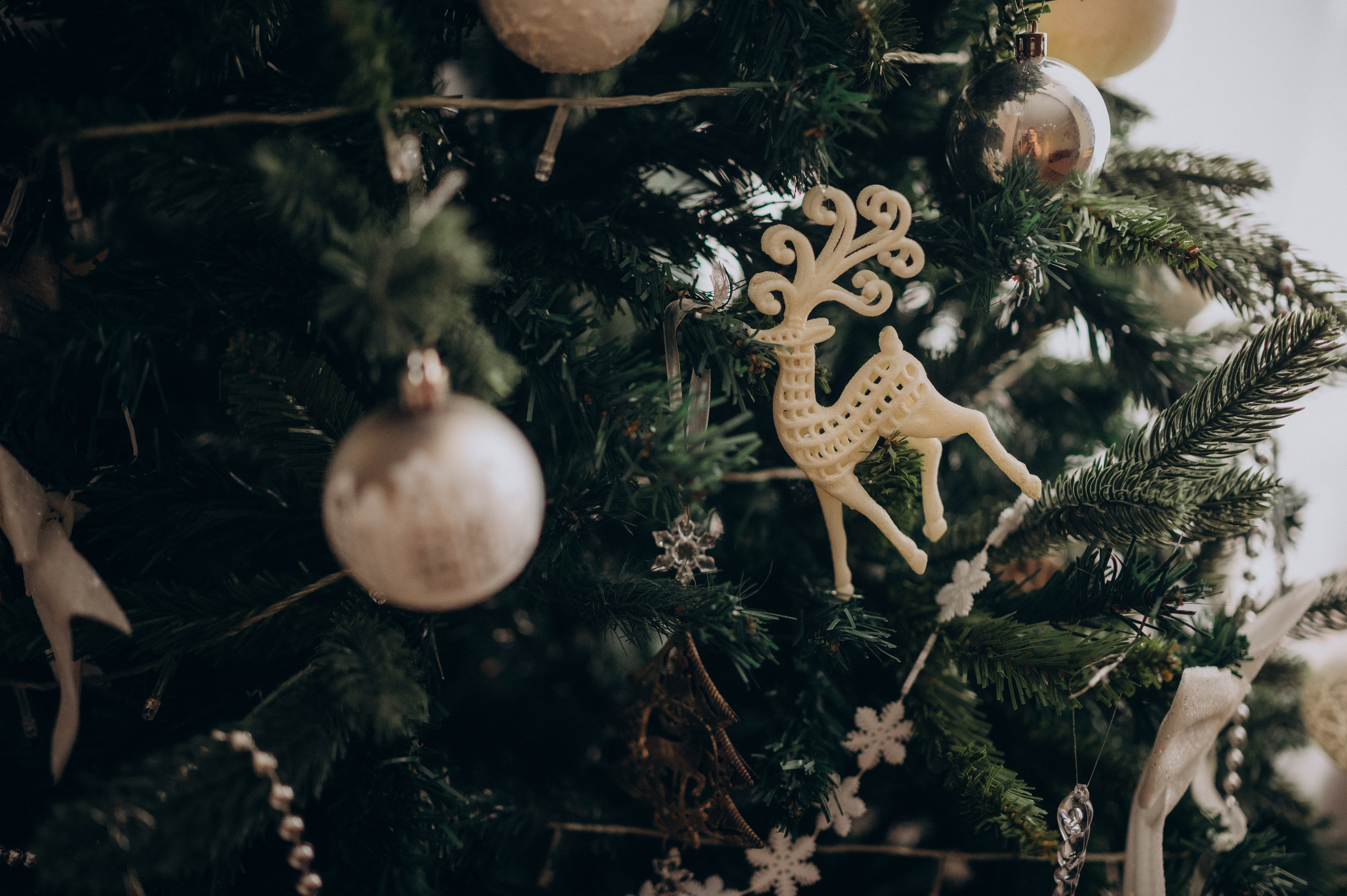 Юлия Юрий Аня и Игорь. Детский и семейный фотограф в Москве