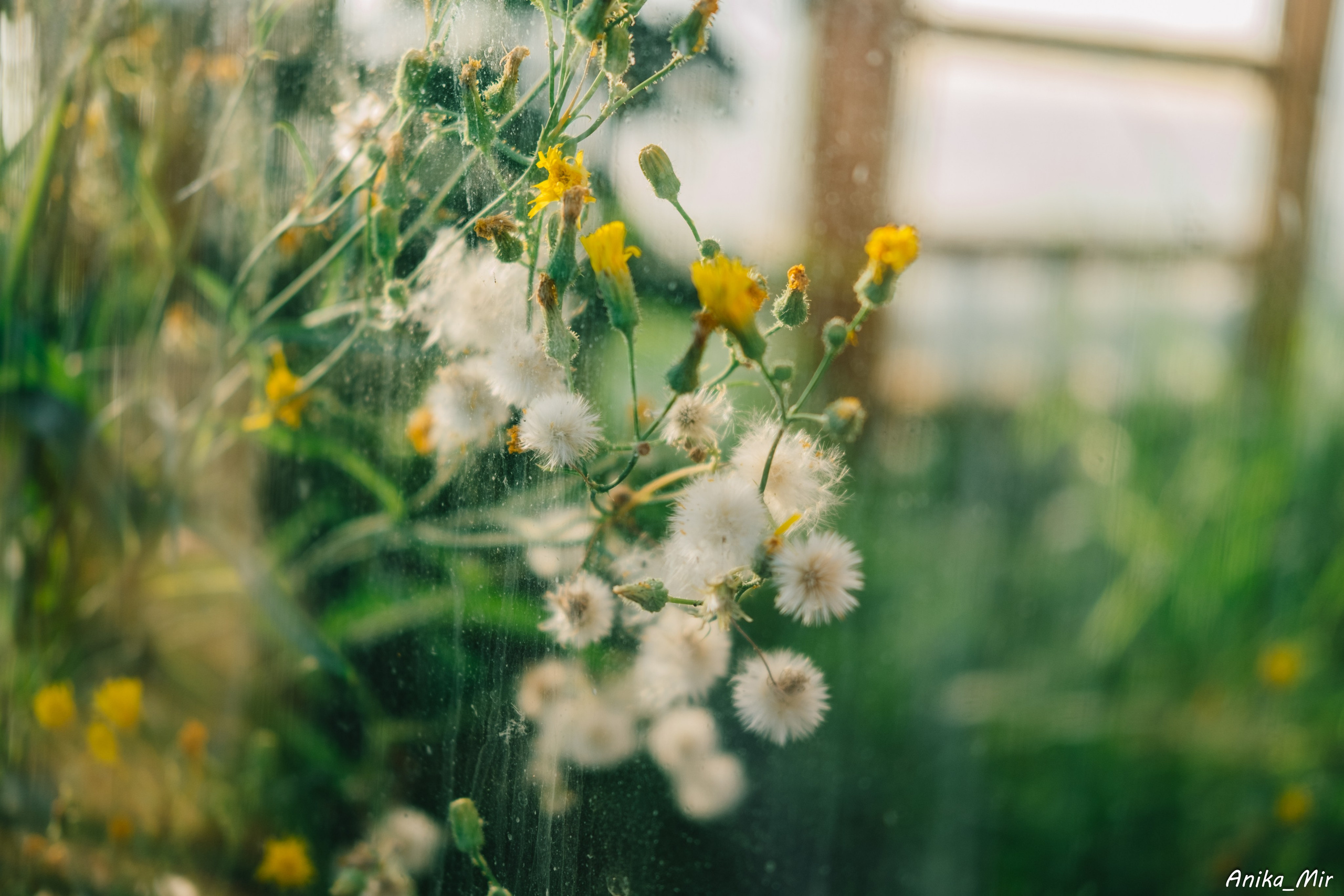 Фестиваль перфоманса Ради света. Фотограф в Иркутске Анна Мирошникова