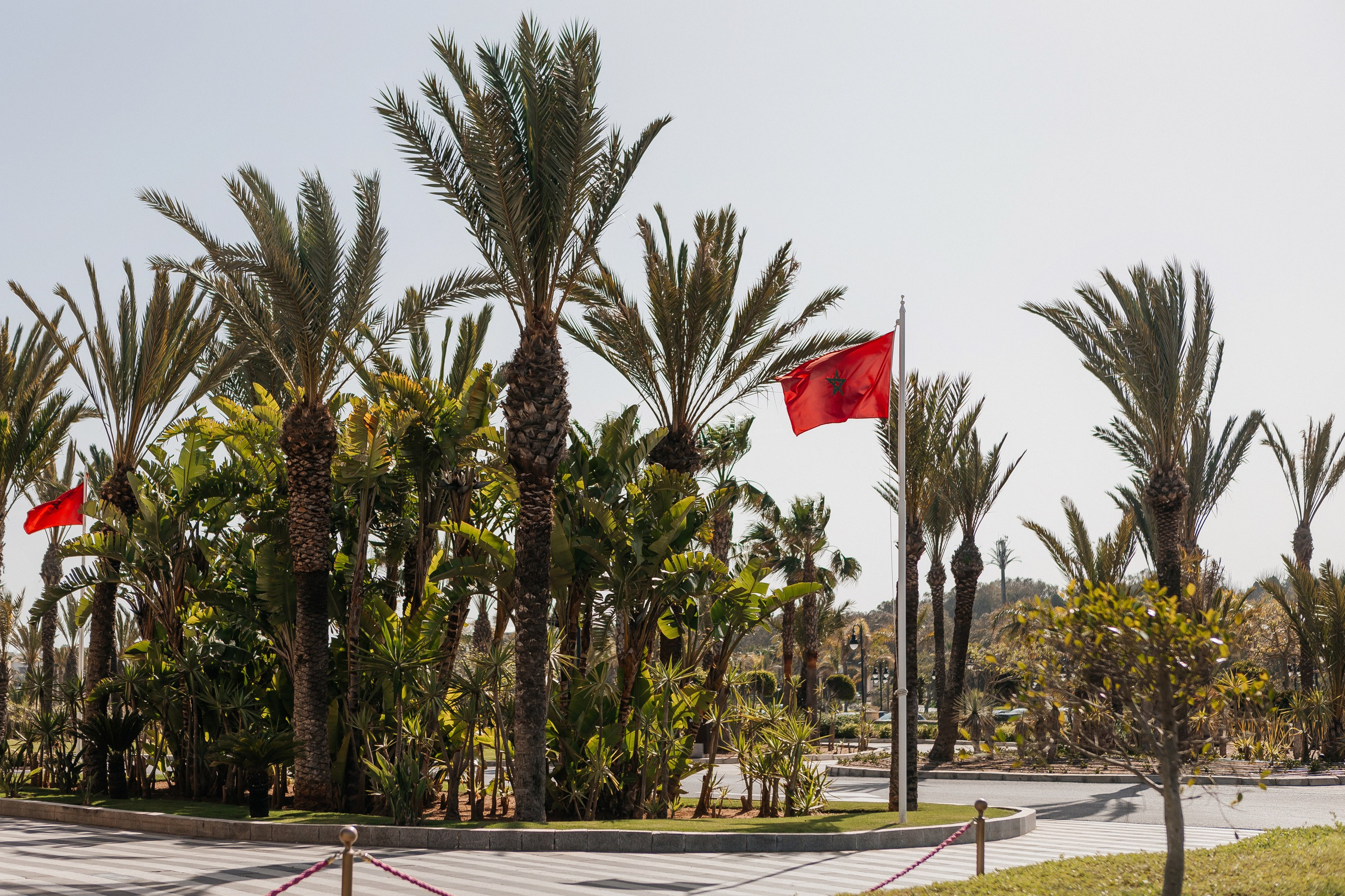 Марокко Альфа Банк. Фотограф в Москве Дмитрий Жарков