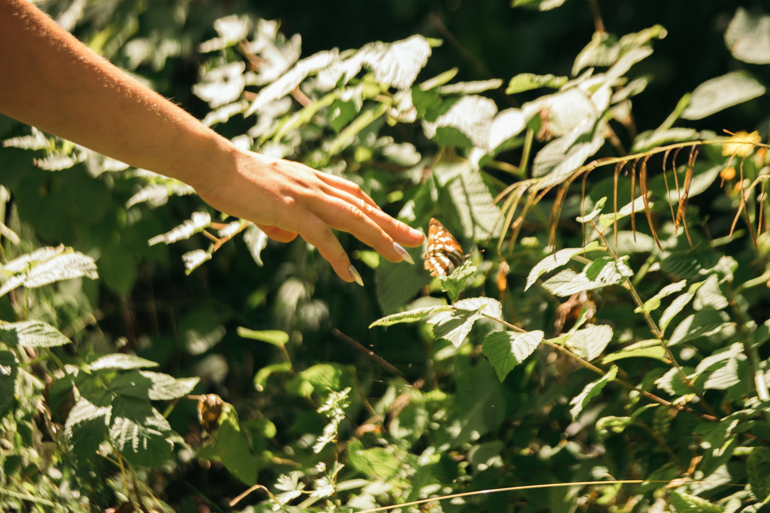 Солнечный ангел. Darinishna Фэнтези-фотограф Хабаровск