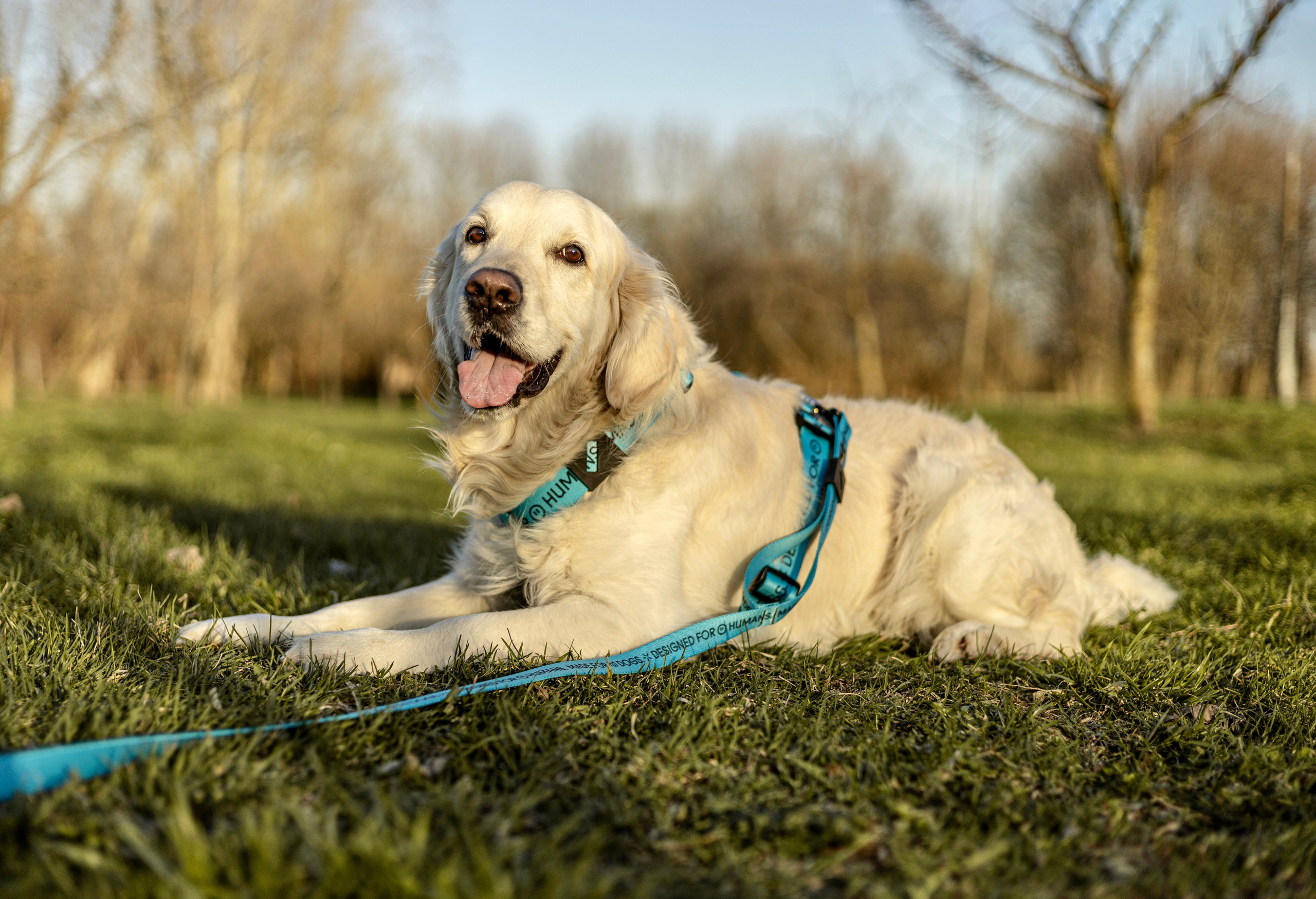 Зиз и Юля. Часть 2. Фотограф-анималист Ксения Шевцова|Москва