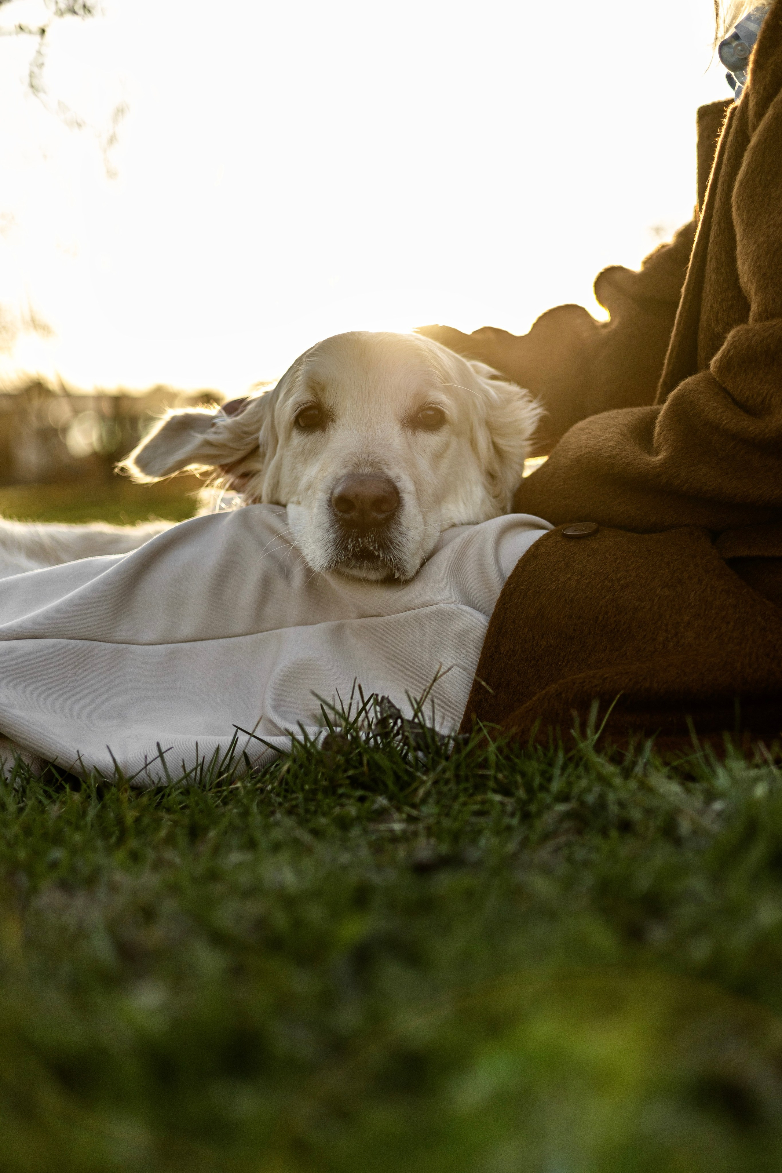 Зиз и Юля. Часть 2. Фотограф-анималист Ксения Шевцова|Москва