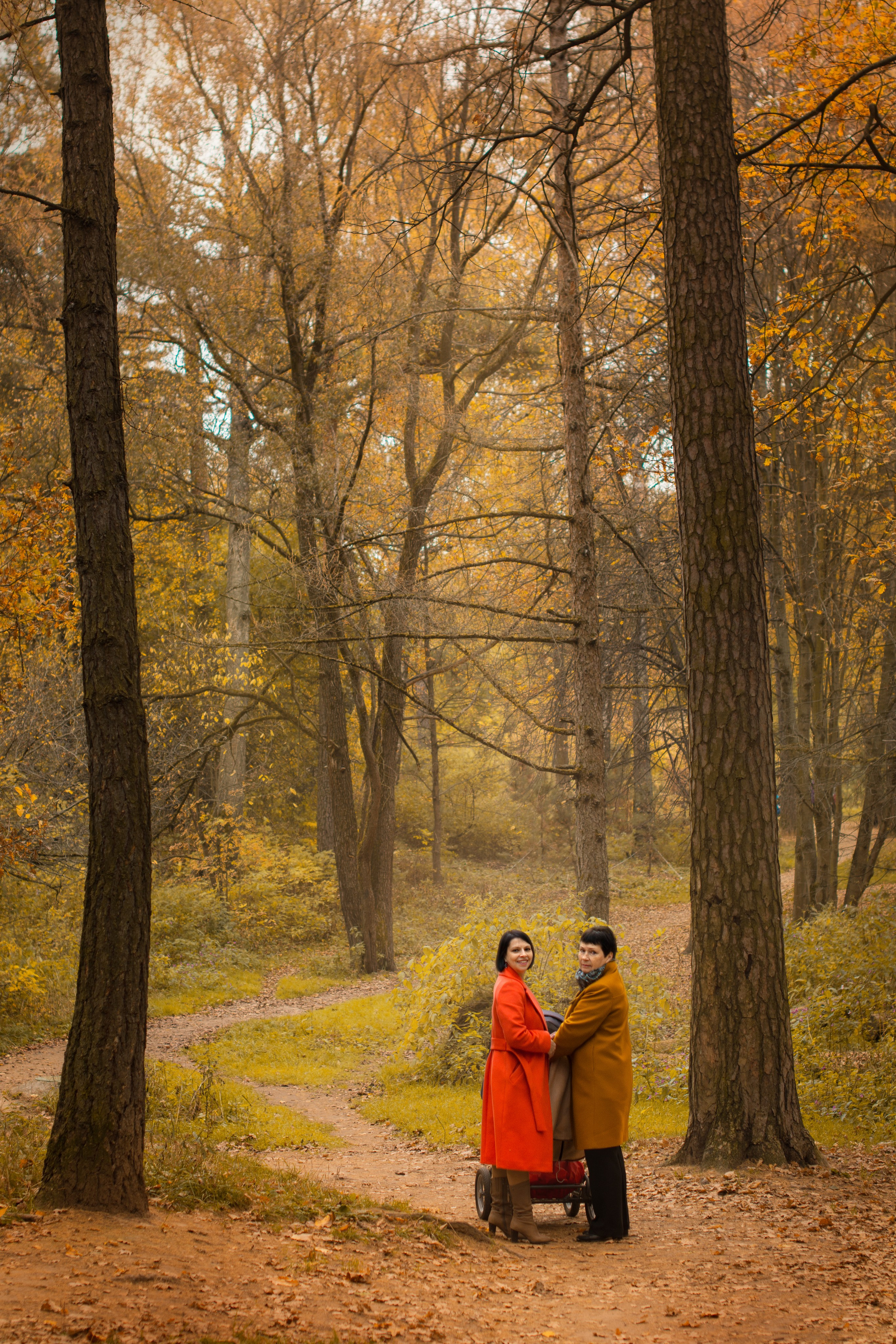 Осень в парке Измайлово. Фотосессия для Анны. Фотосессия беременности — Крылова Натали — Москва