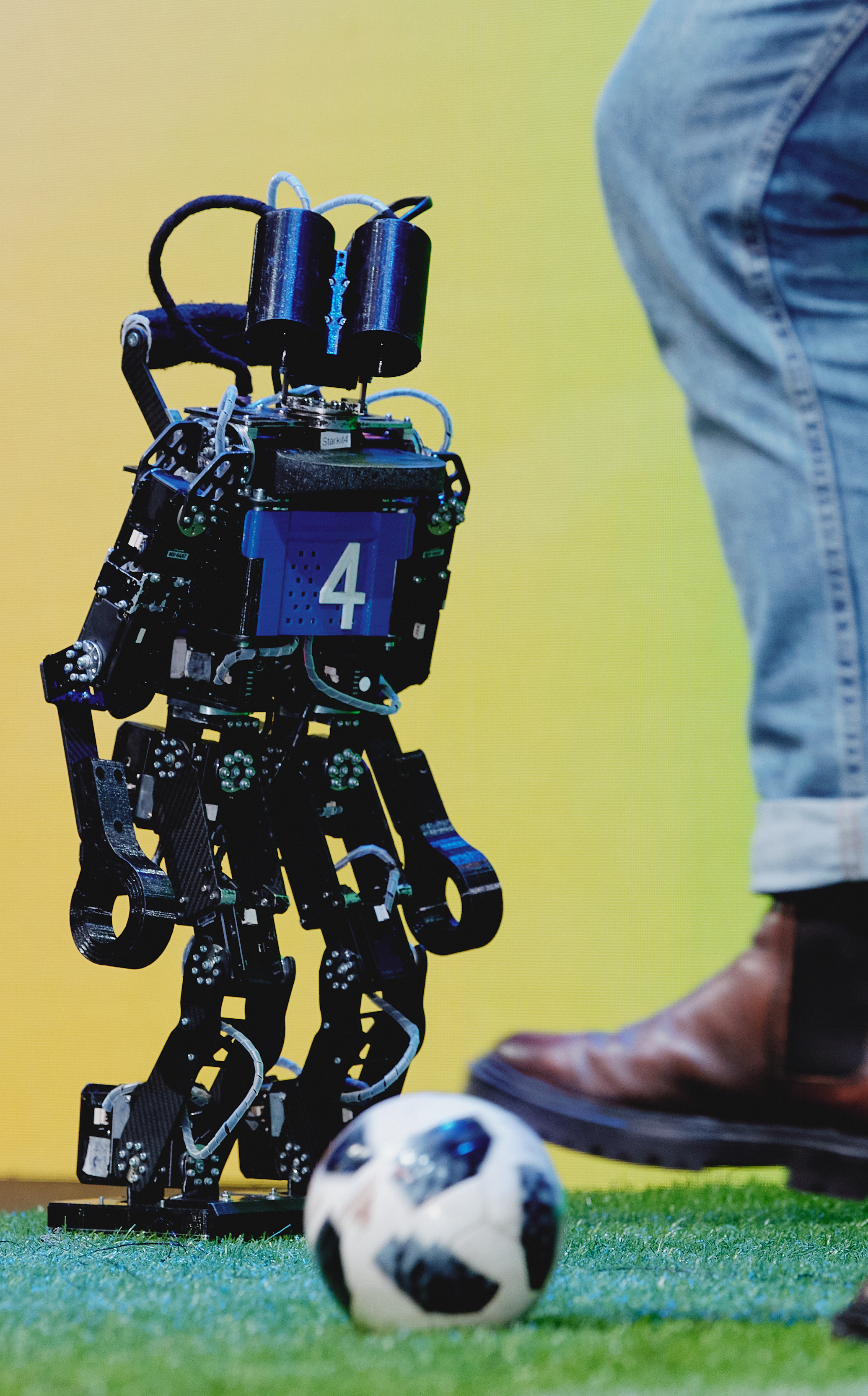 Медиа-служба. Фотограф Наиль Забайдуллин