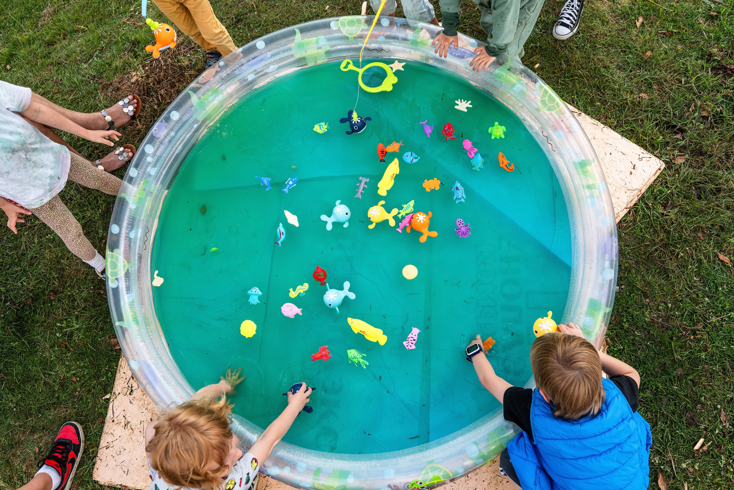 Фотограф на праздник Сочи. Фотограф Сочи