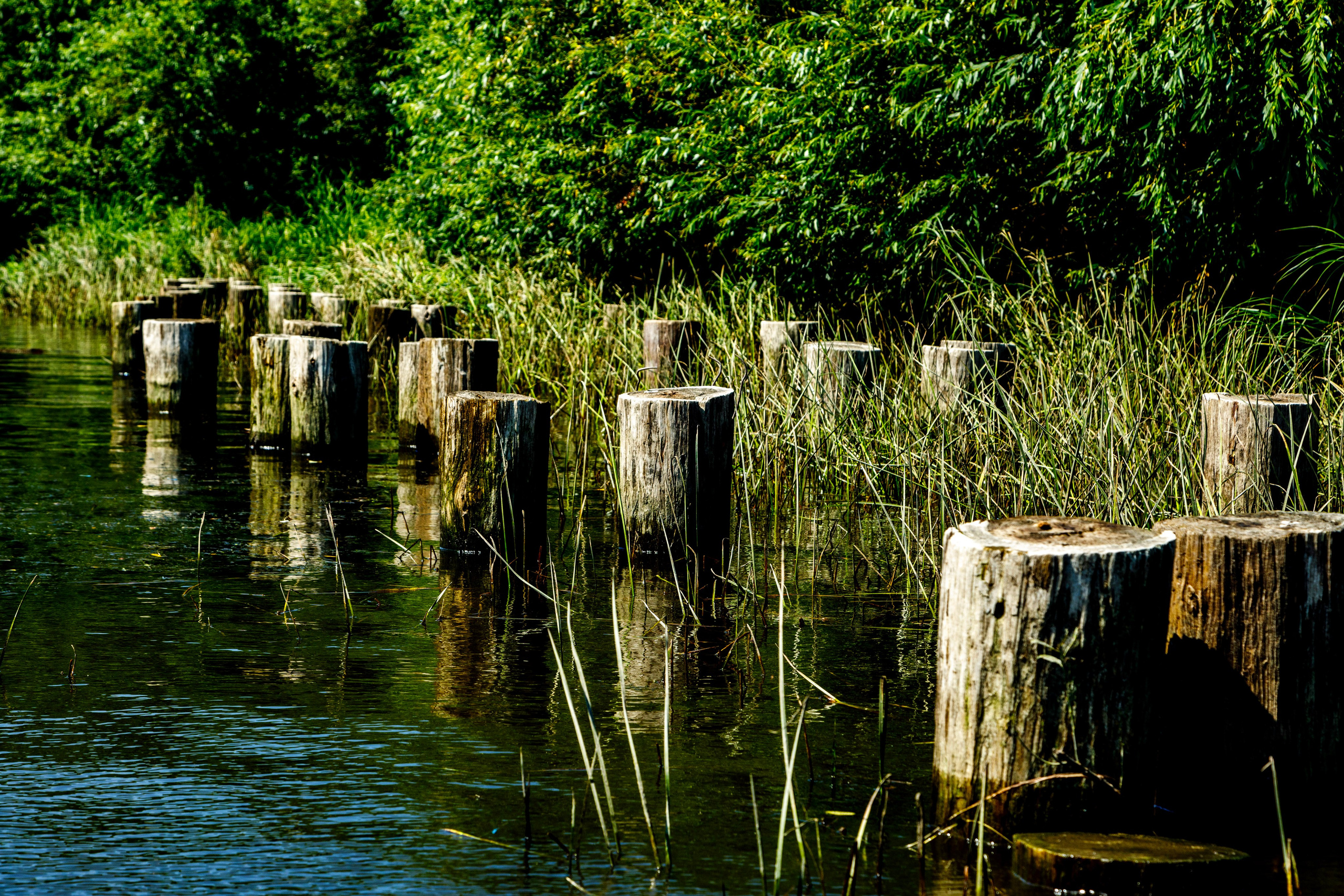 Прогулки по реке. Фотограф Андрей Гузеев