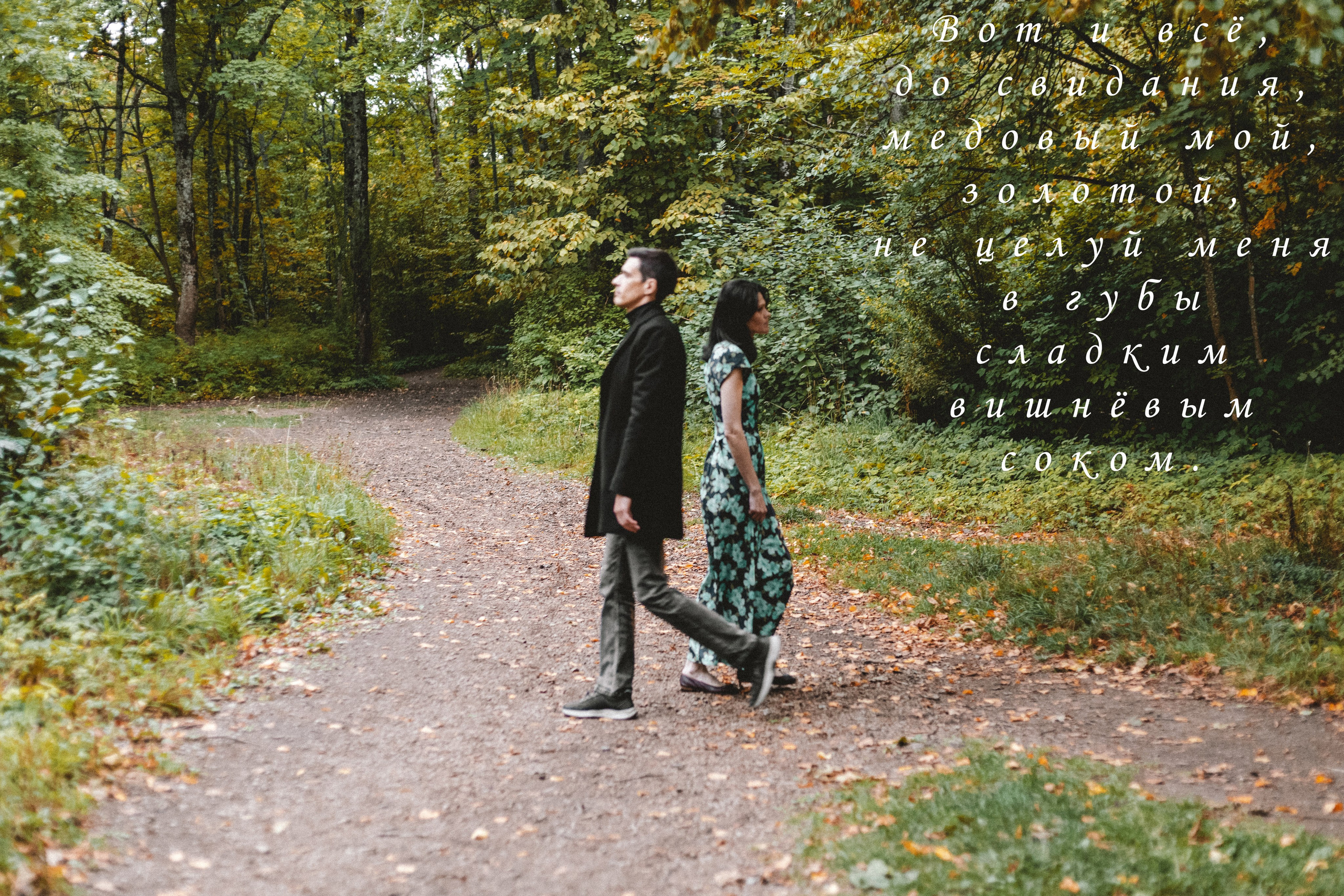 Август. Портфолио